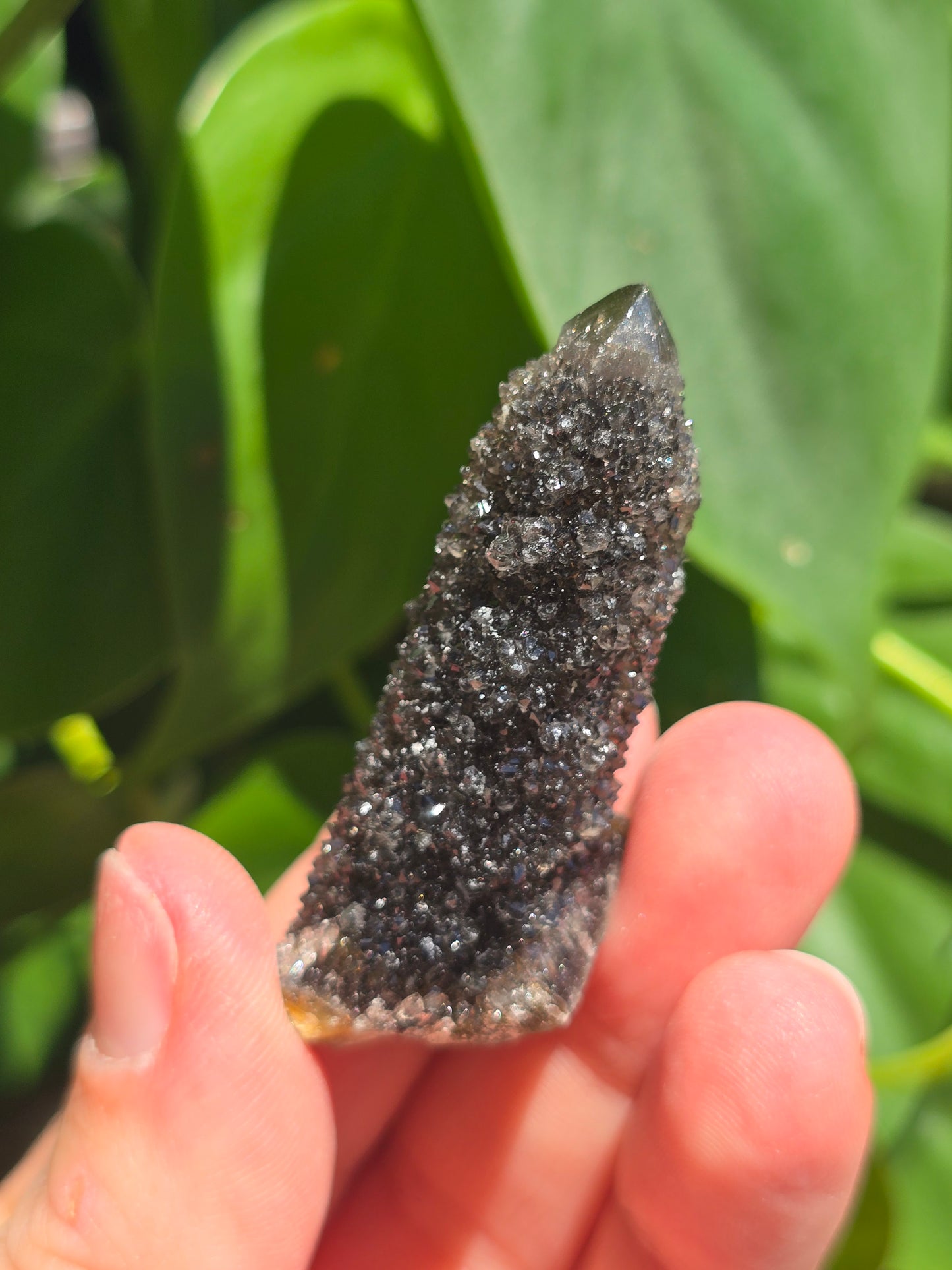 Smoky Black Spirit Quartz Specimen "E"