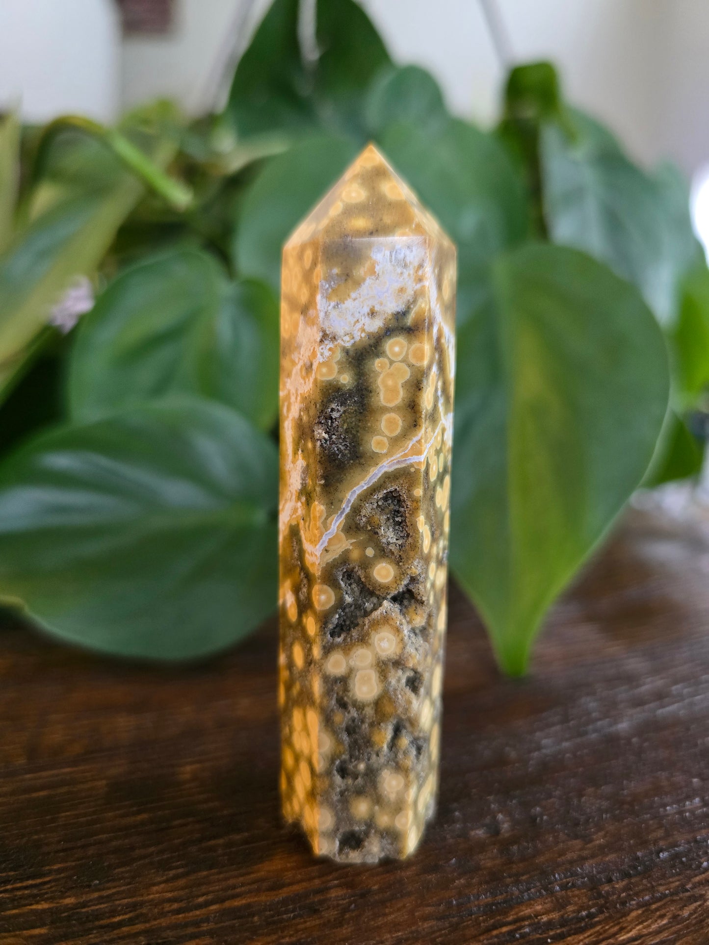 Ocean Jasper Tower "A"