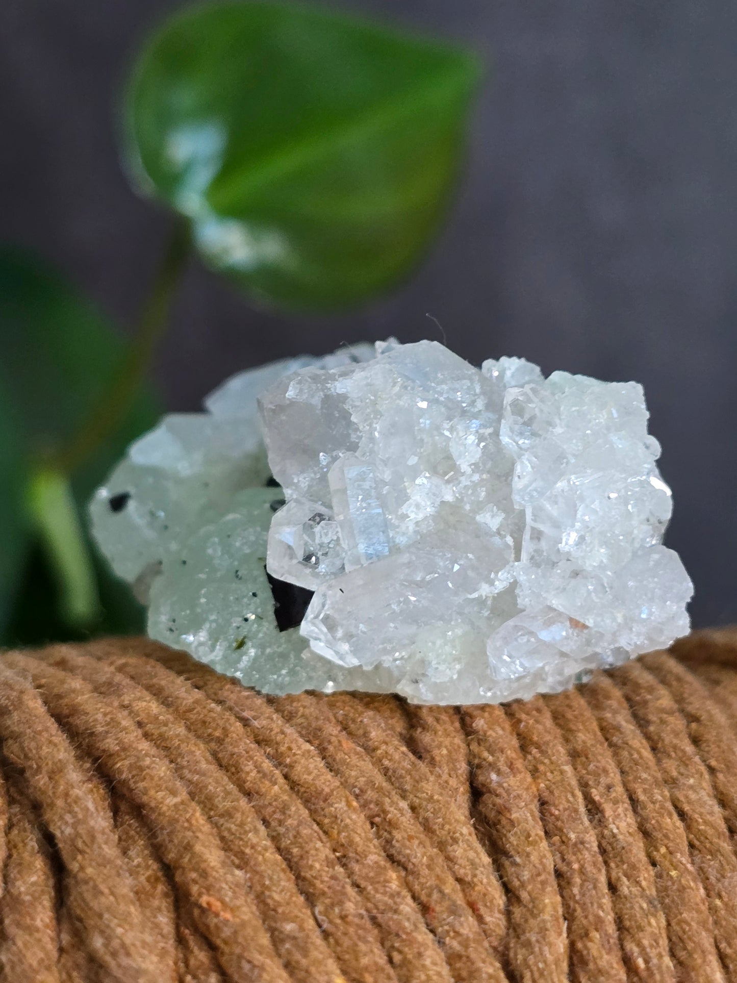 Prehnite and Epidote on Quartz Matrix