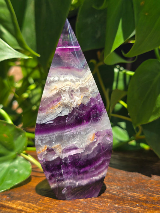 Rainbow Fluorite Flipper "E"