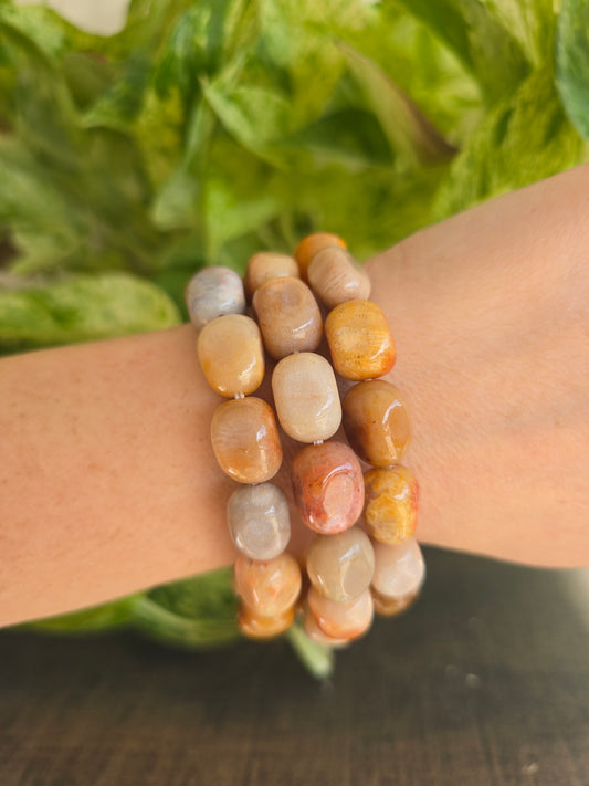 Fossil Coral Bracelet