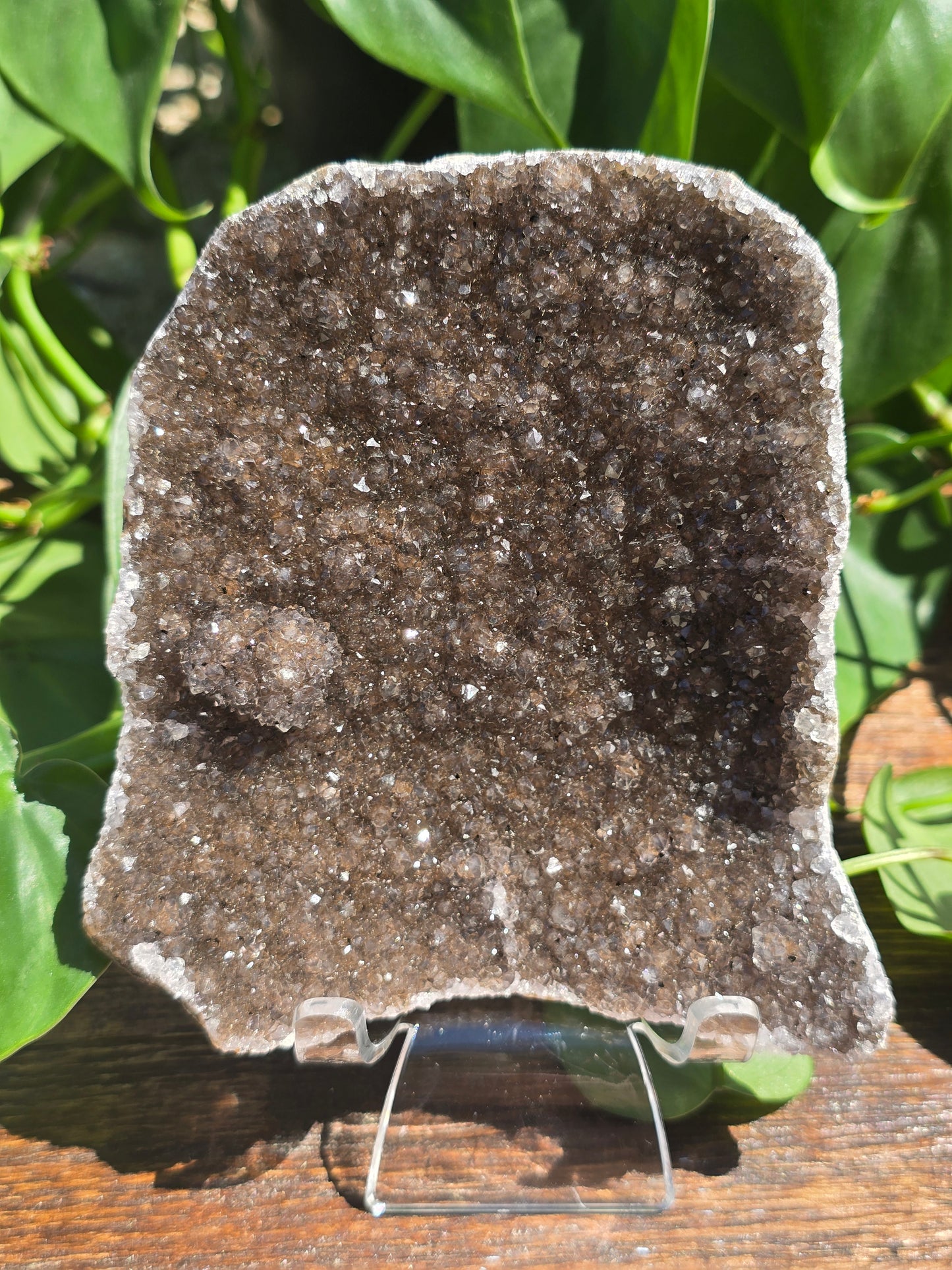 Brazilian Black/Brown Amethyst Plate