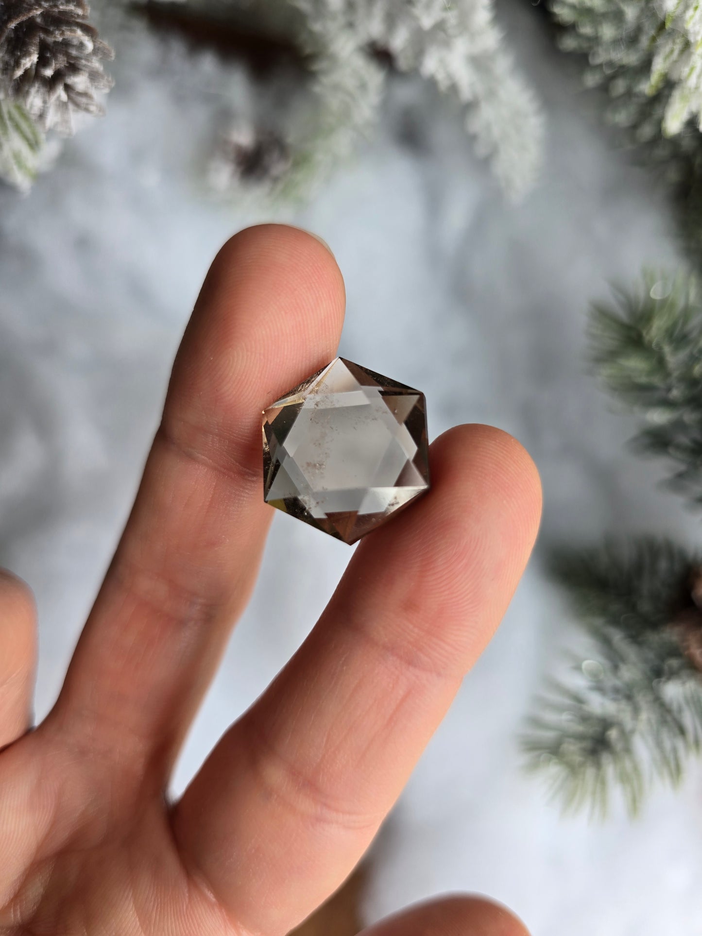 Faceted Smoky Quartz