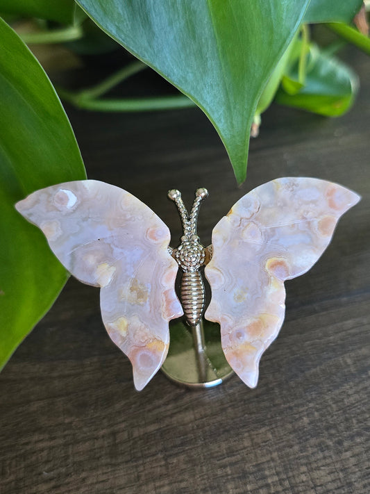 Flower Agate Butterfly Wings