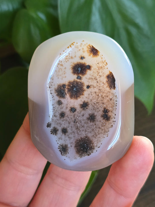 Druzy Agate Palm Stone