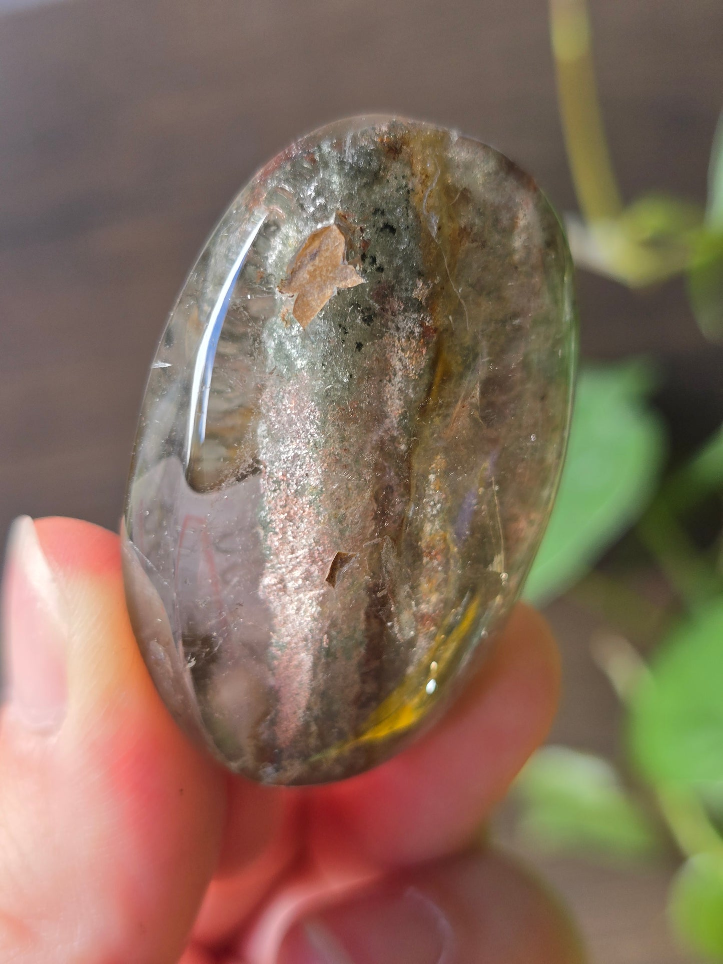 Garden Quartz (Lodolite) Palm Stone