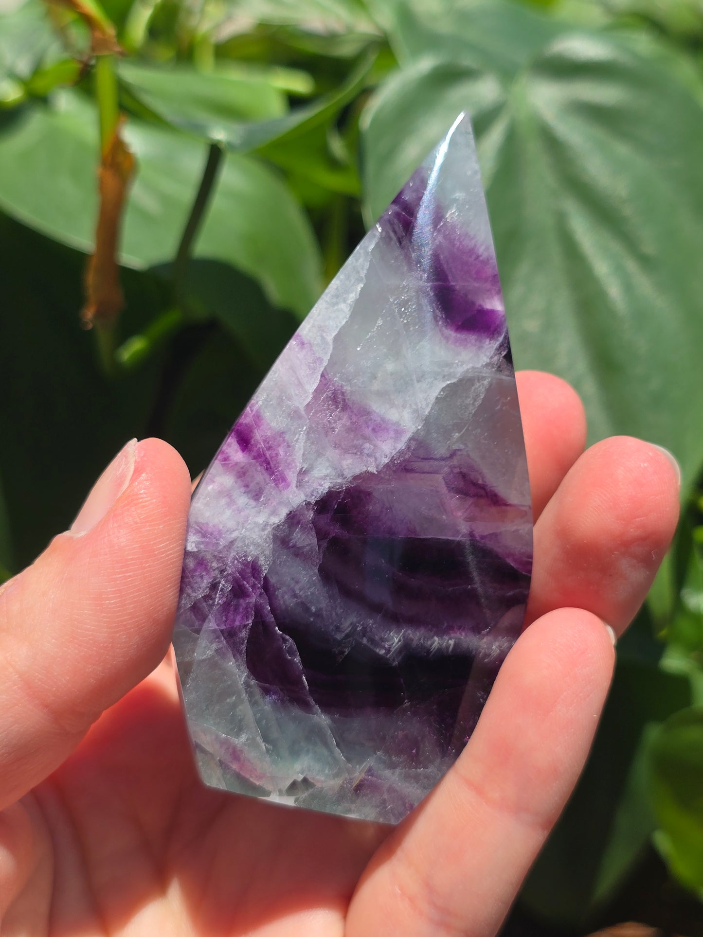 Rainbow Fluorite Flipper "C"