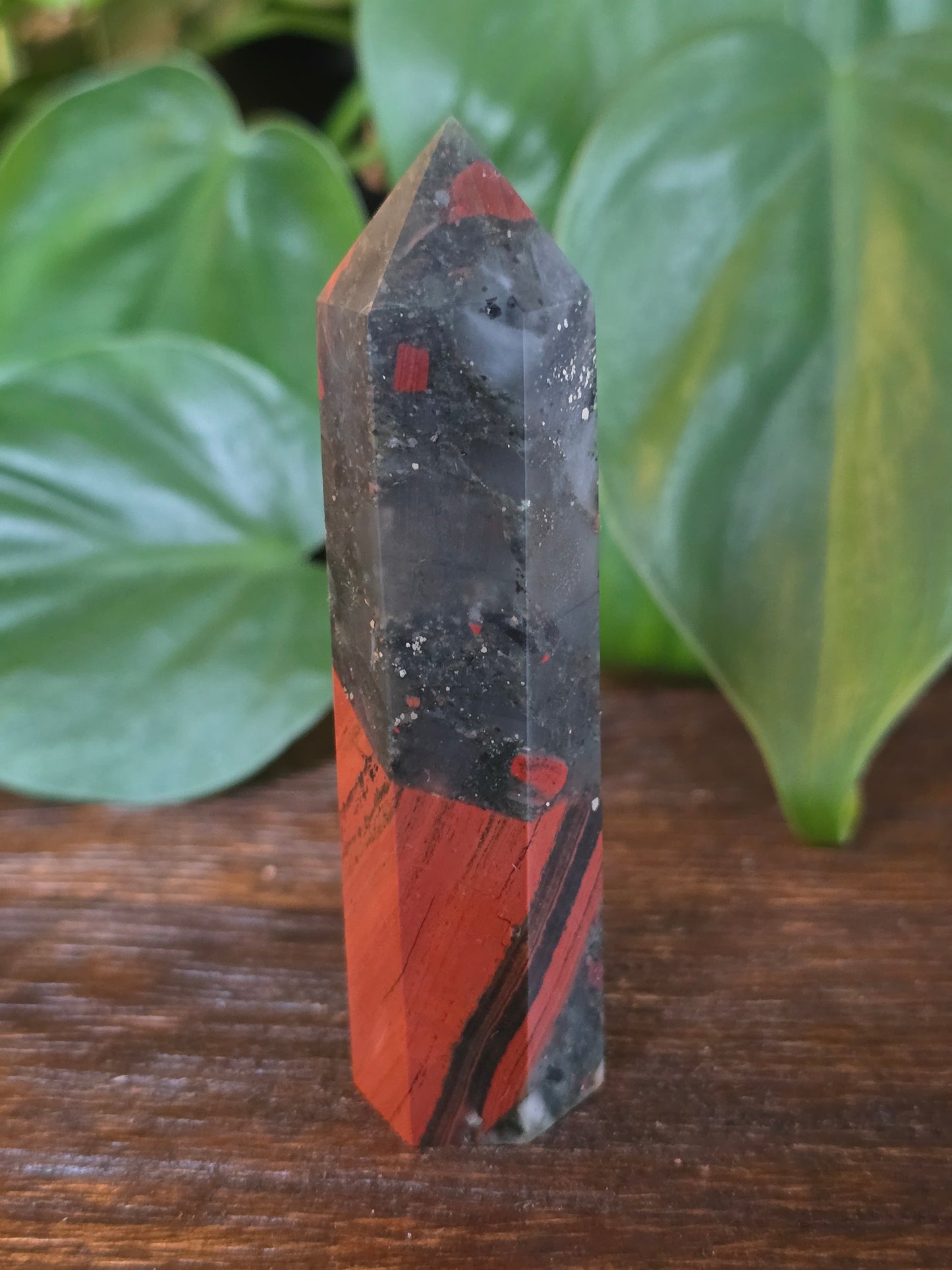 African Bloodstone Point "L"