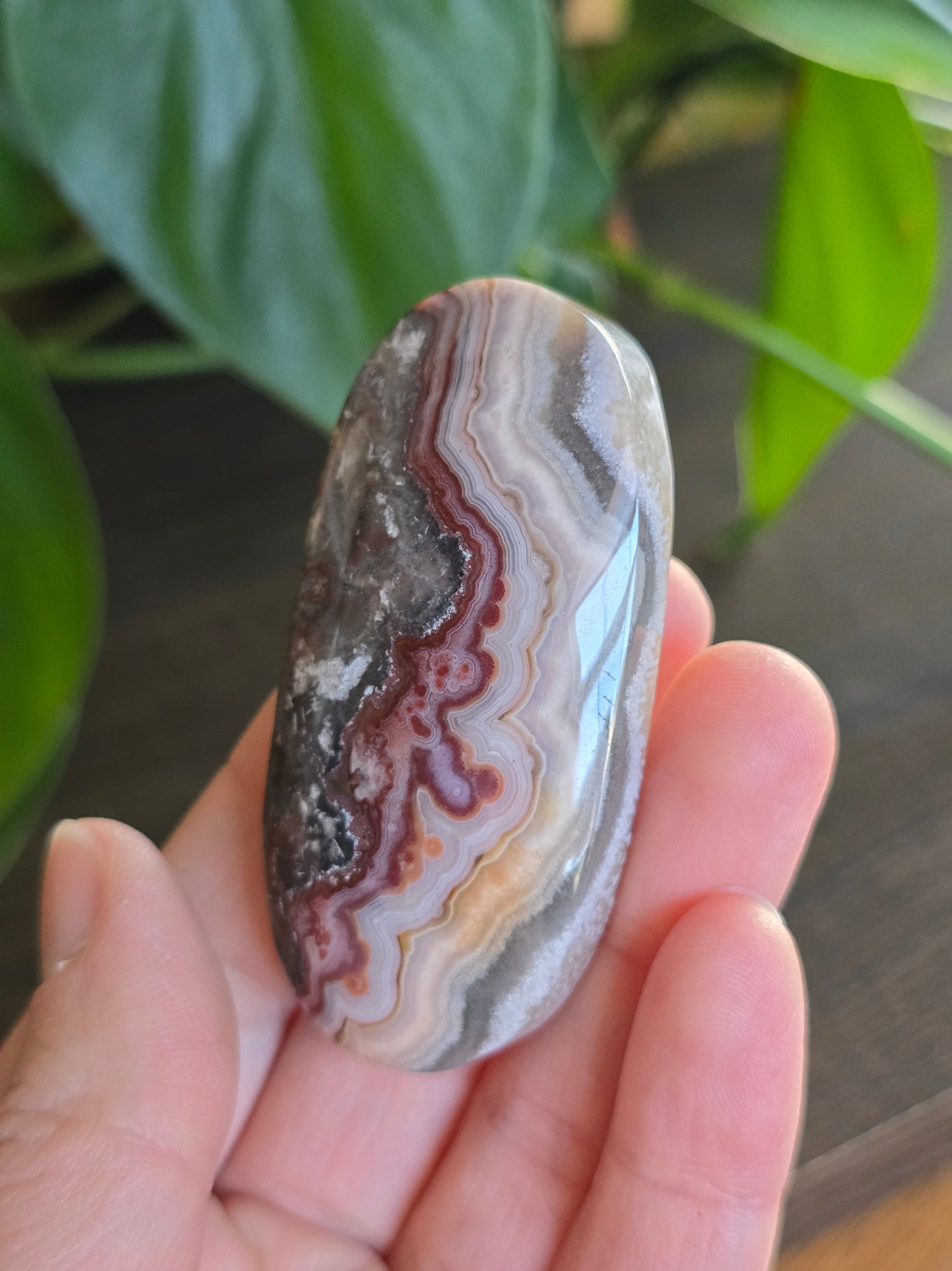Red Mexican Crazy Lace Agate Palm Stone