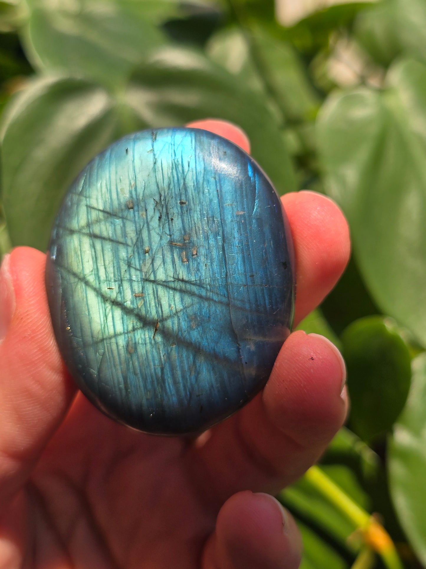 Labradorite Palm Stone "H"