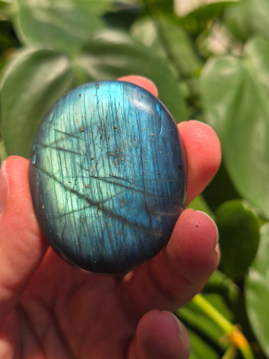 Labradorite Palm Stone "H"