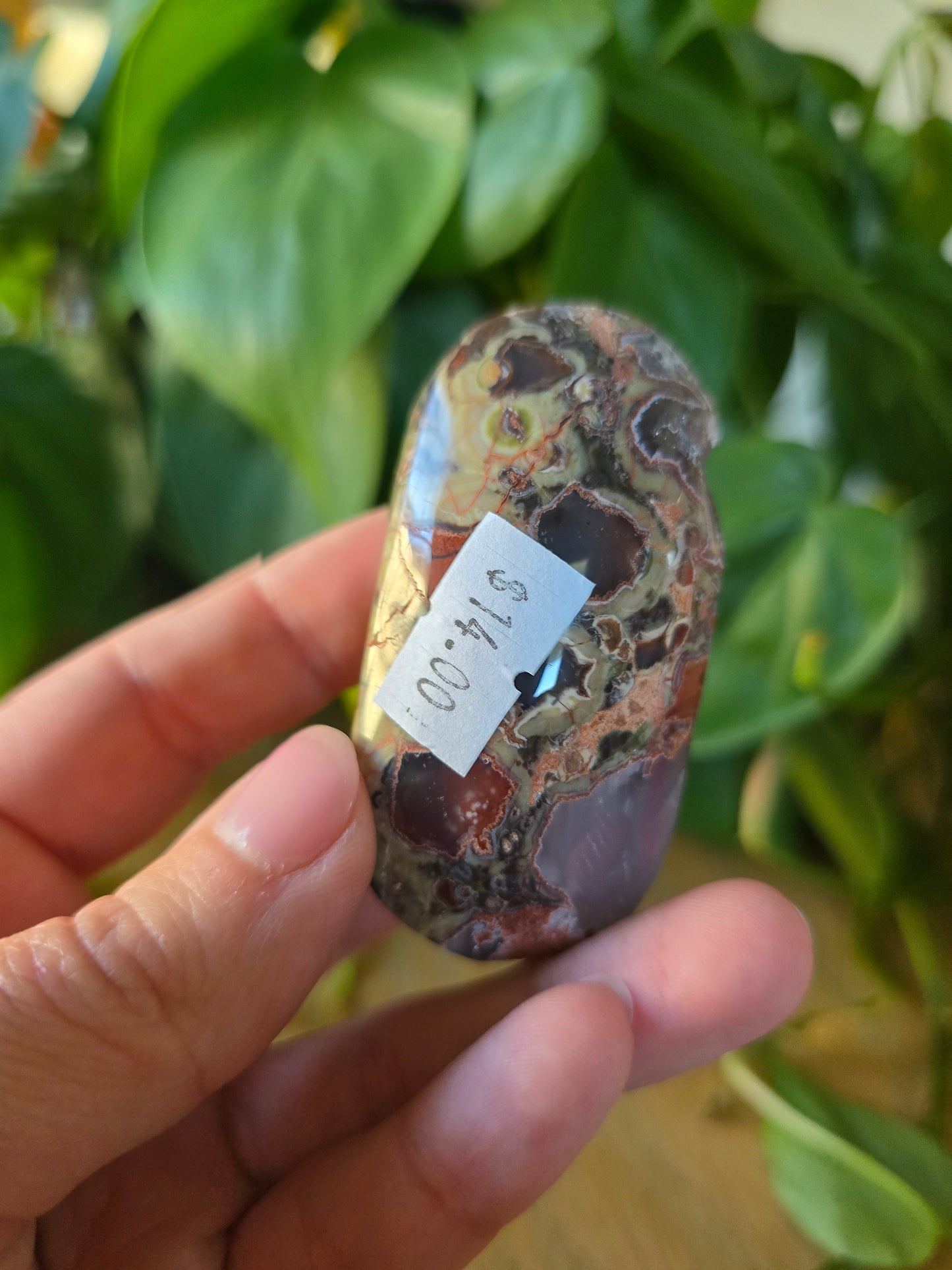 Money Agate Palm Stone