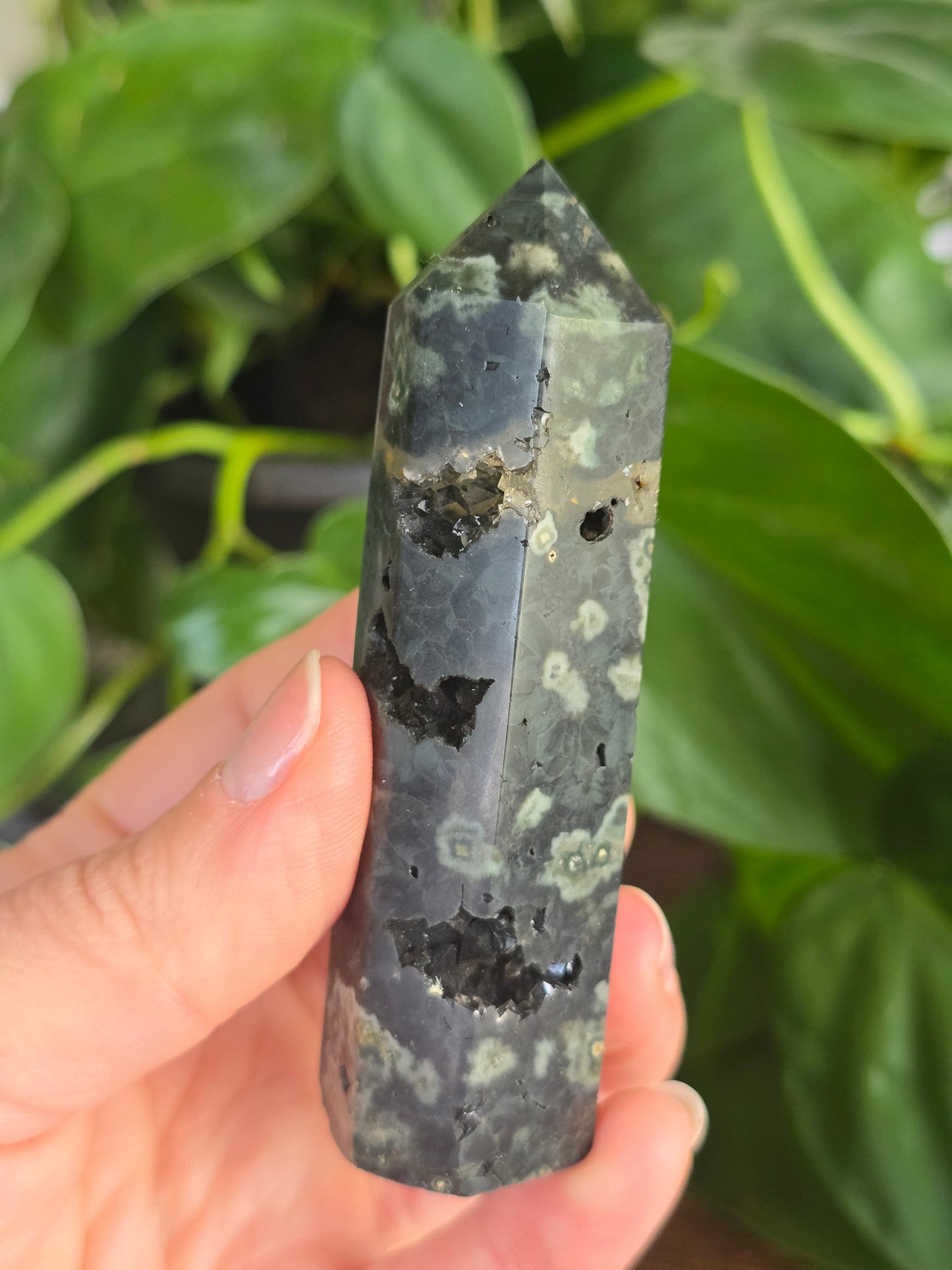 Green Ocean Jasper Tower "B"