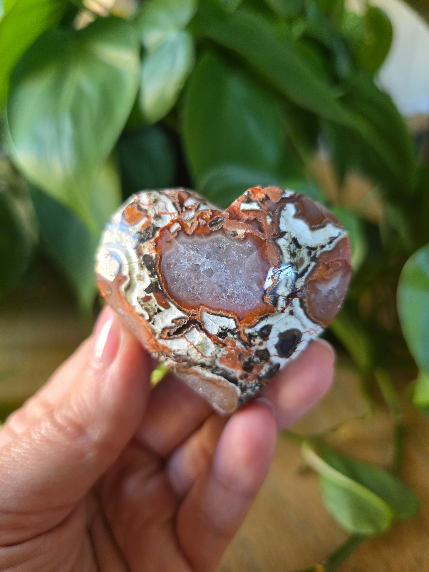 Money Agate Heart