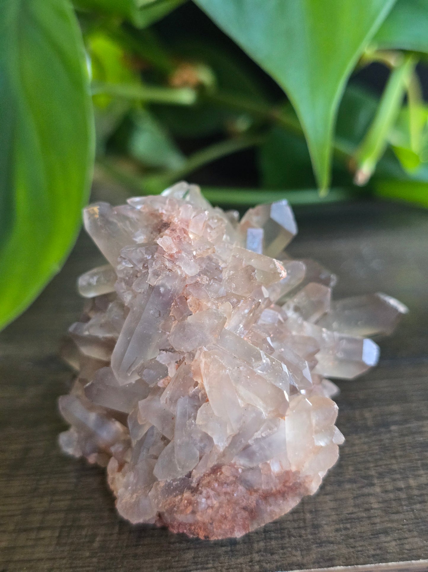 Smoky Quartz Cluster