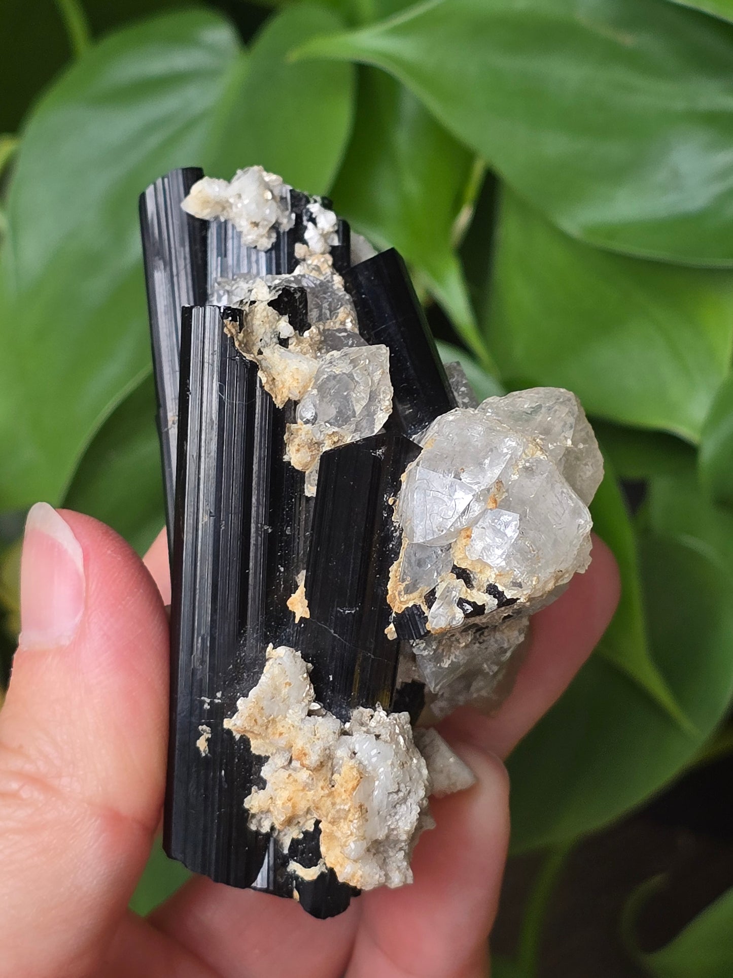 High Quality Black Tourmaline on Quartz Matrix