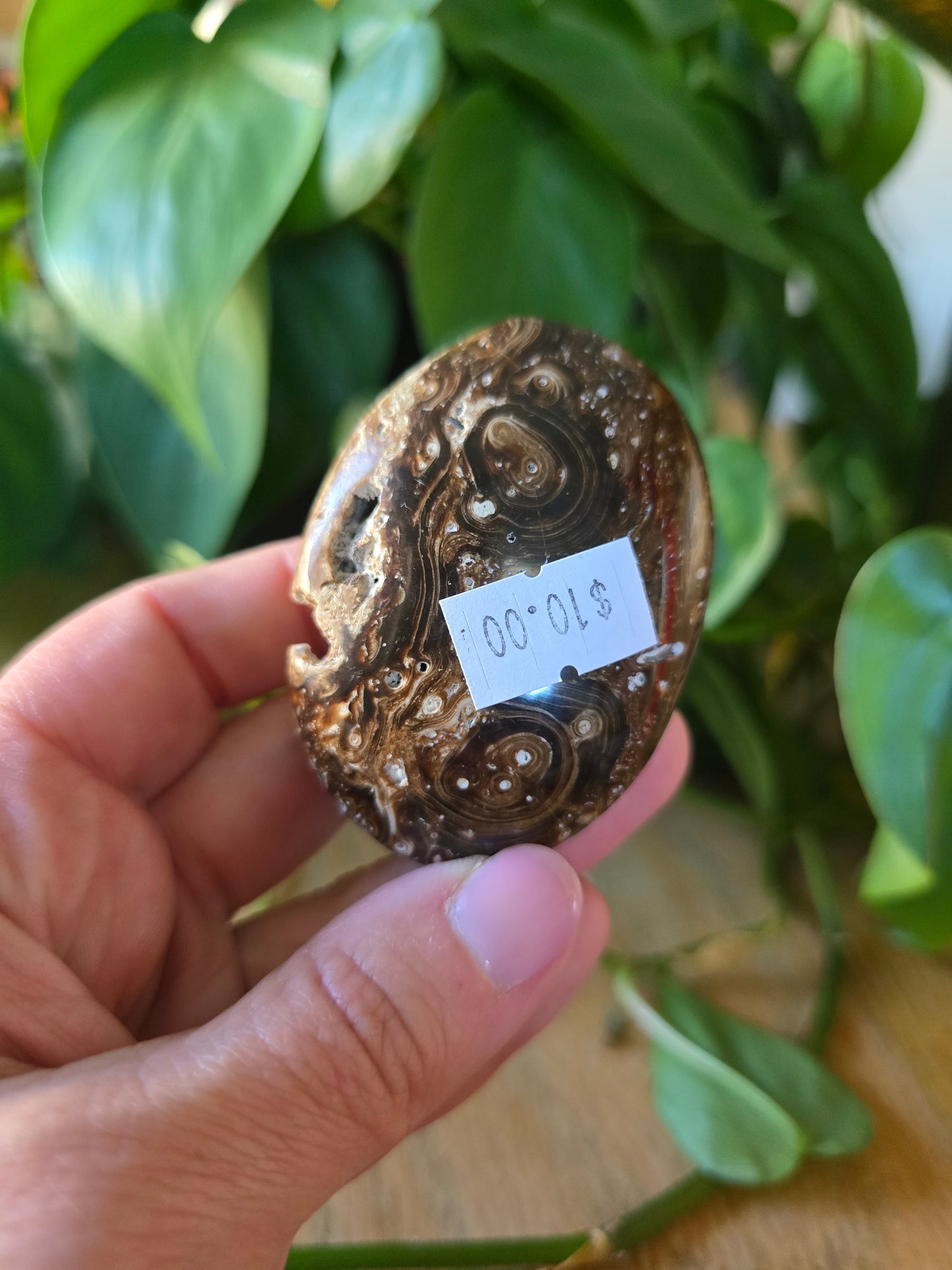 Chocolate Calcite Palm Stone