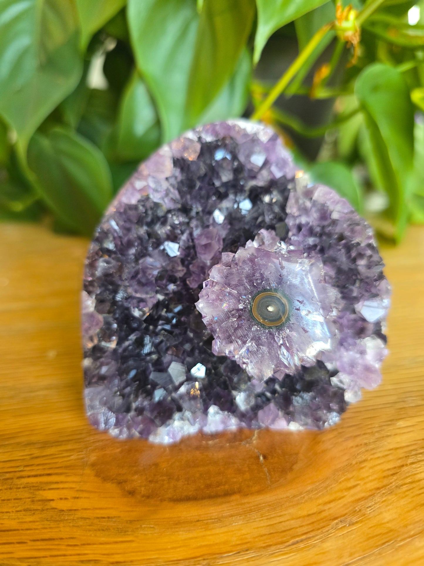 Druzy Amethyst Cluster With Flower