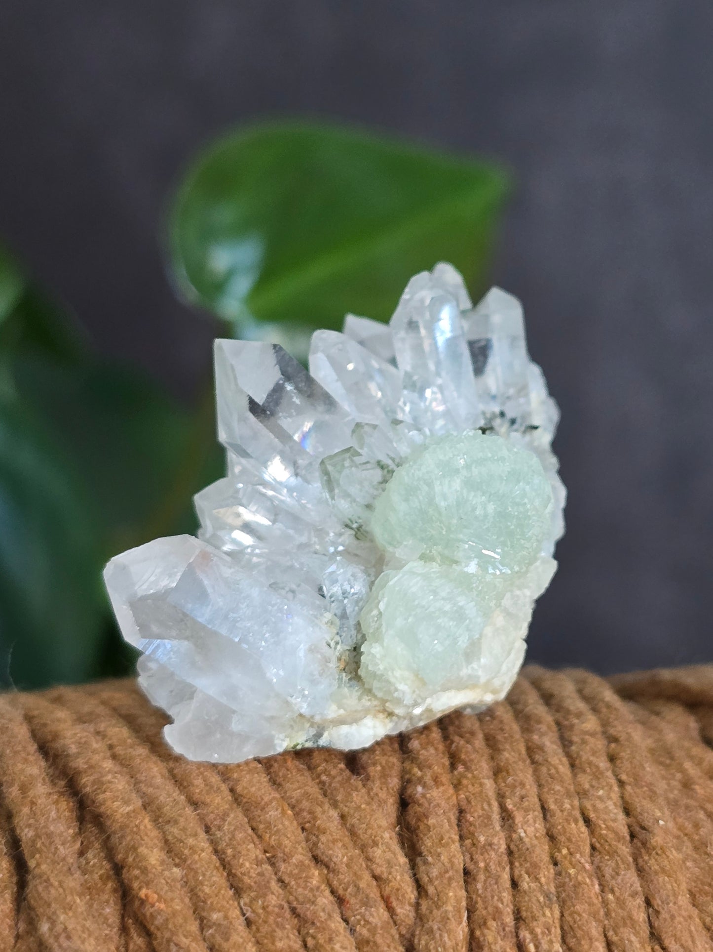 Prehnite and Epidote on Quartz Matrix