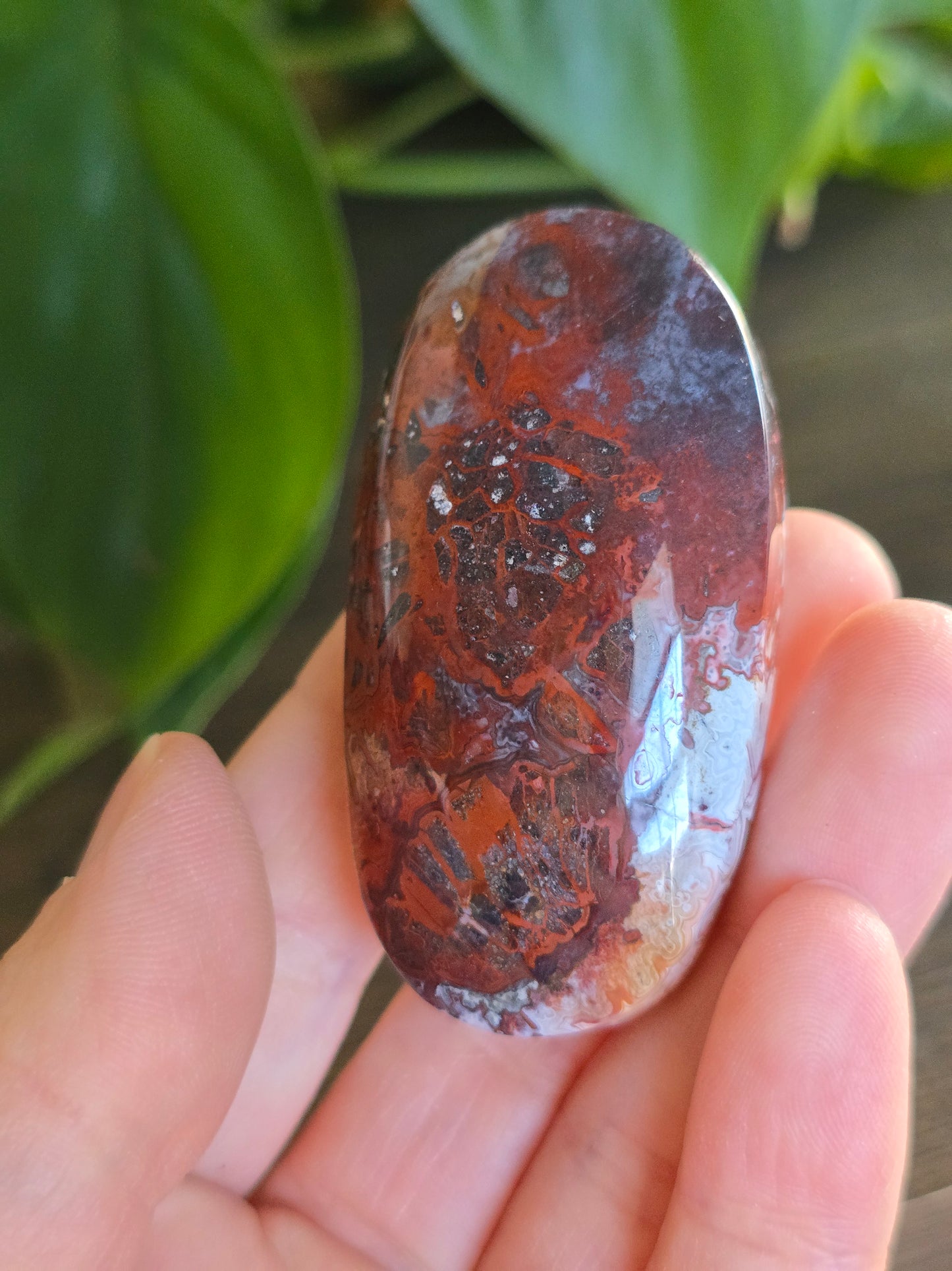 Red Mexican Crazy Lace Agate Palm Stone