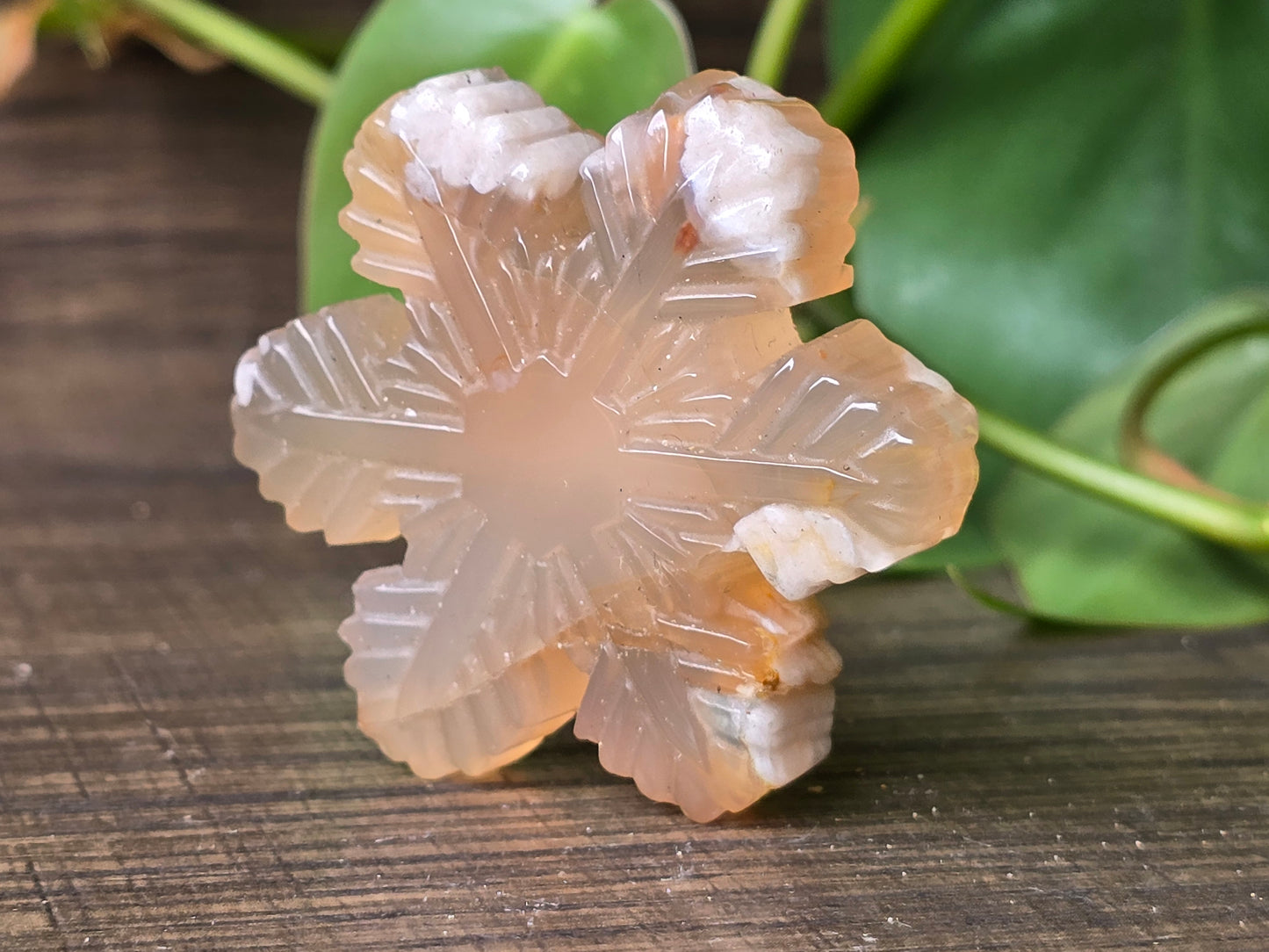 Flower Agate Snowflake