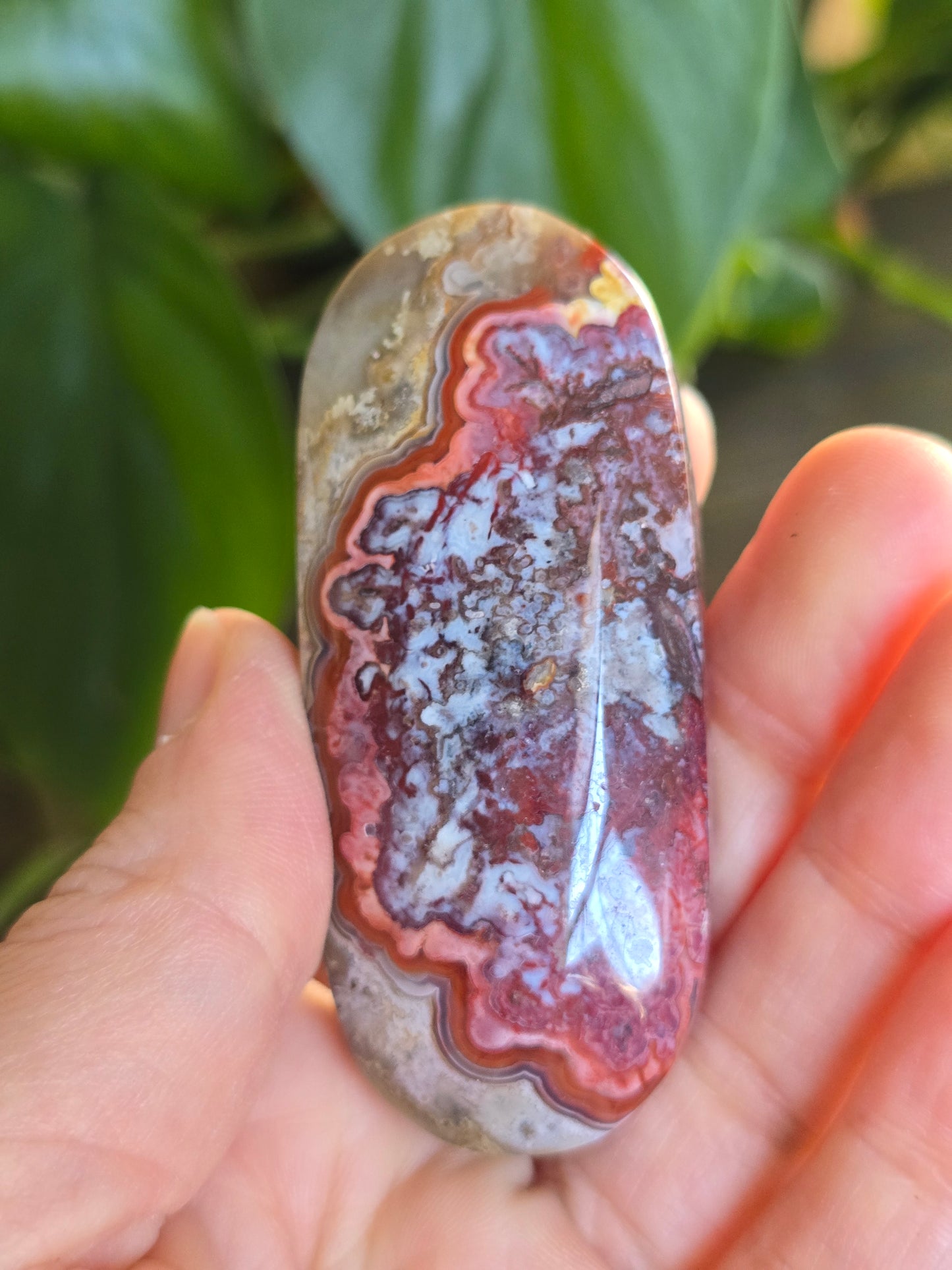 Red Mexican Crazy Lace Agate Palm Stone