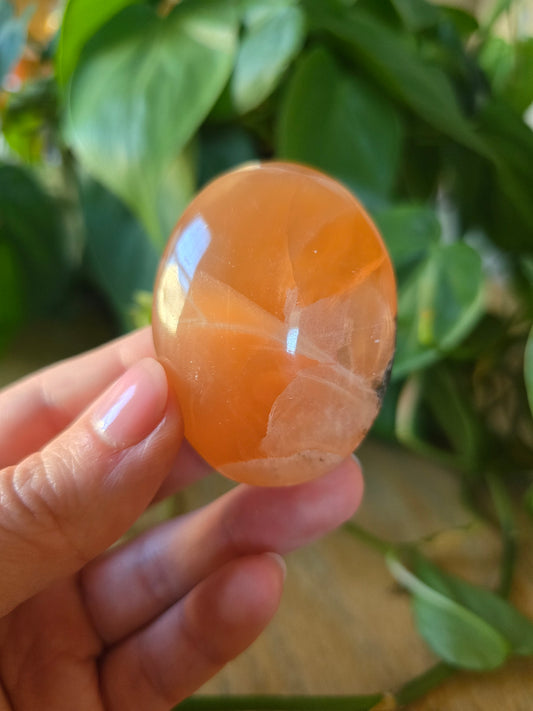 Honey Calcite Palm Stone