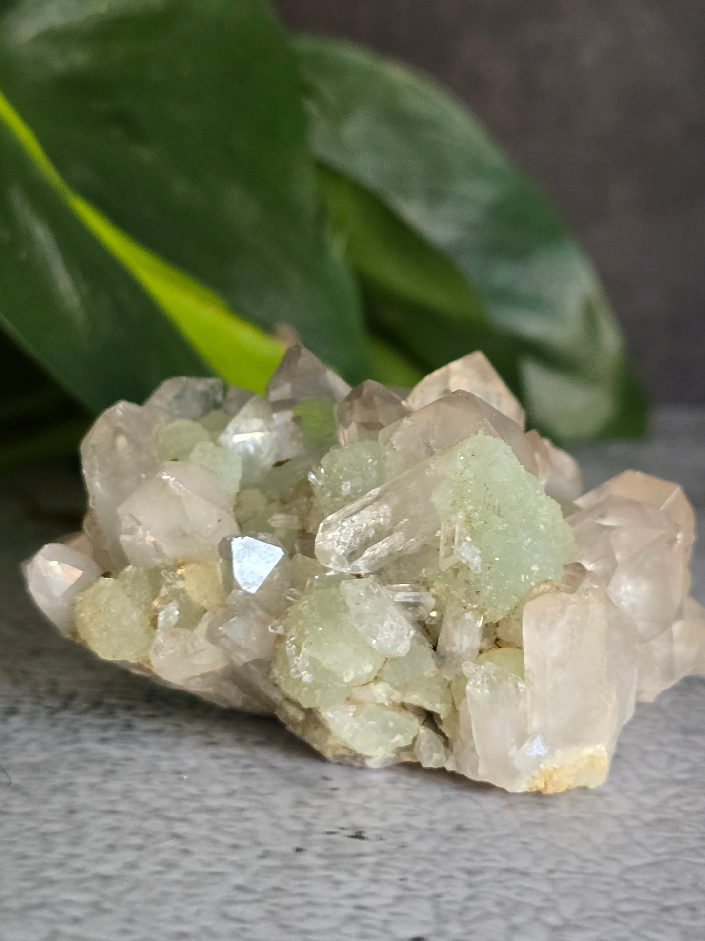 Prehnite and Epidote on Quartz Matrix