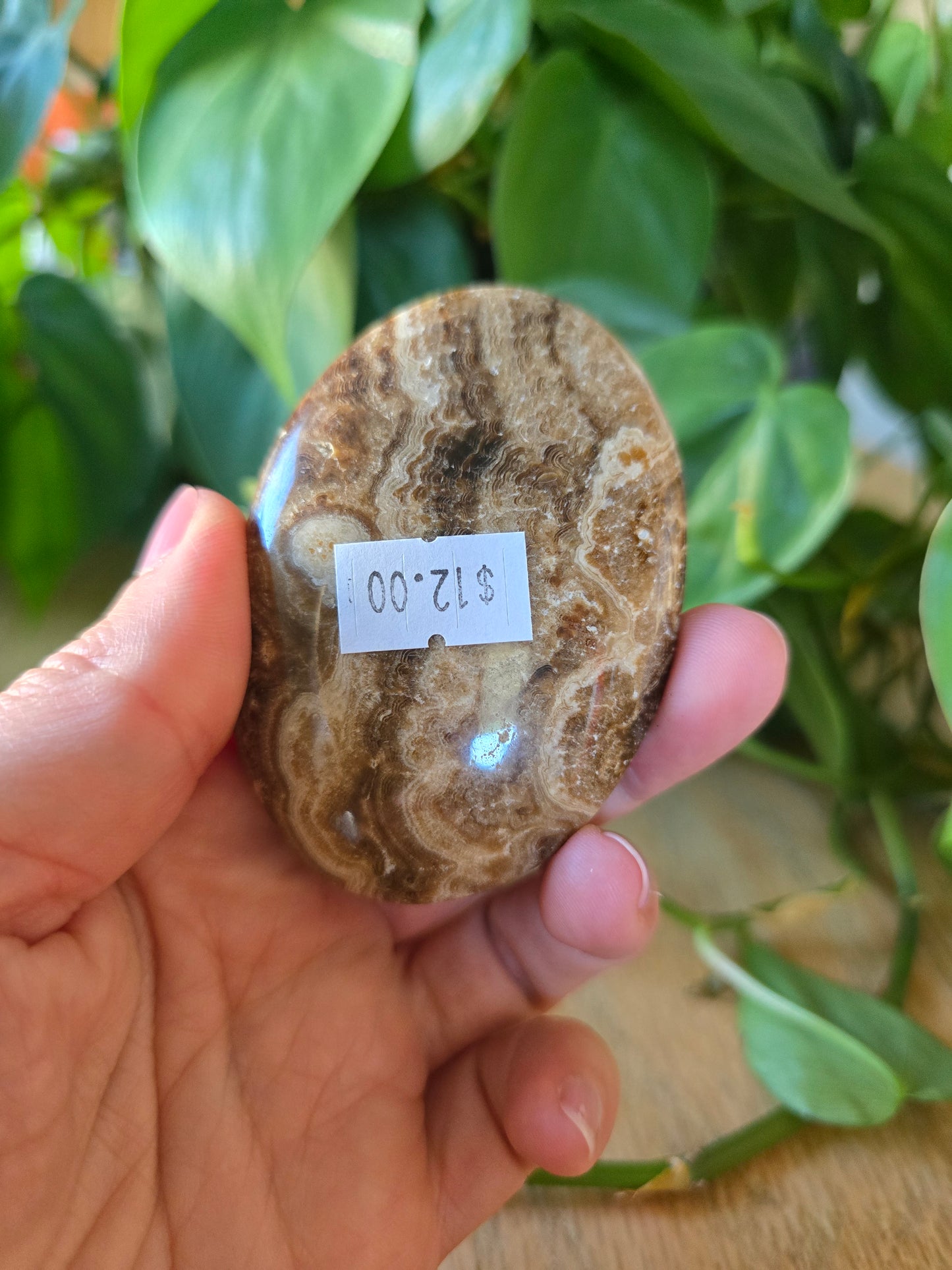 Chocolate Calcite Palm Stone