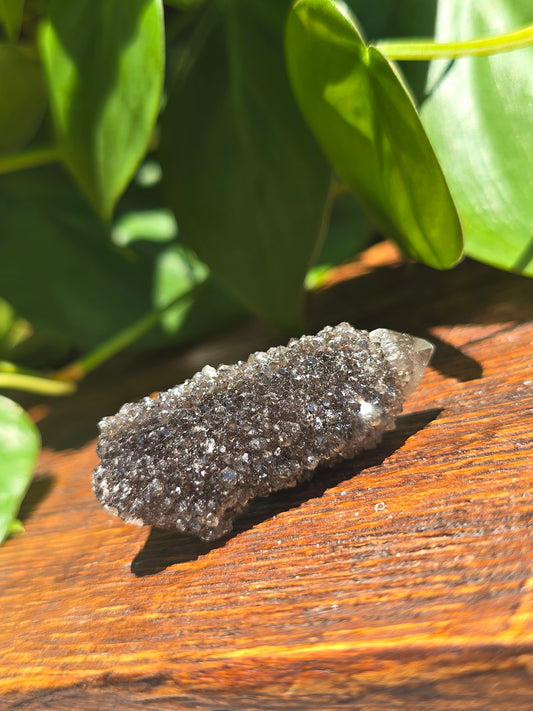 Smoky Black Spirit Quartz Specimen "D"