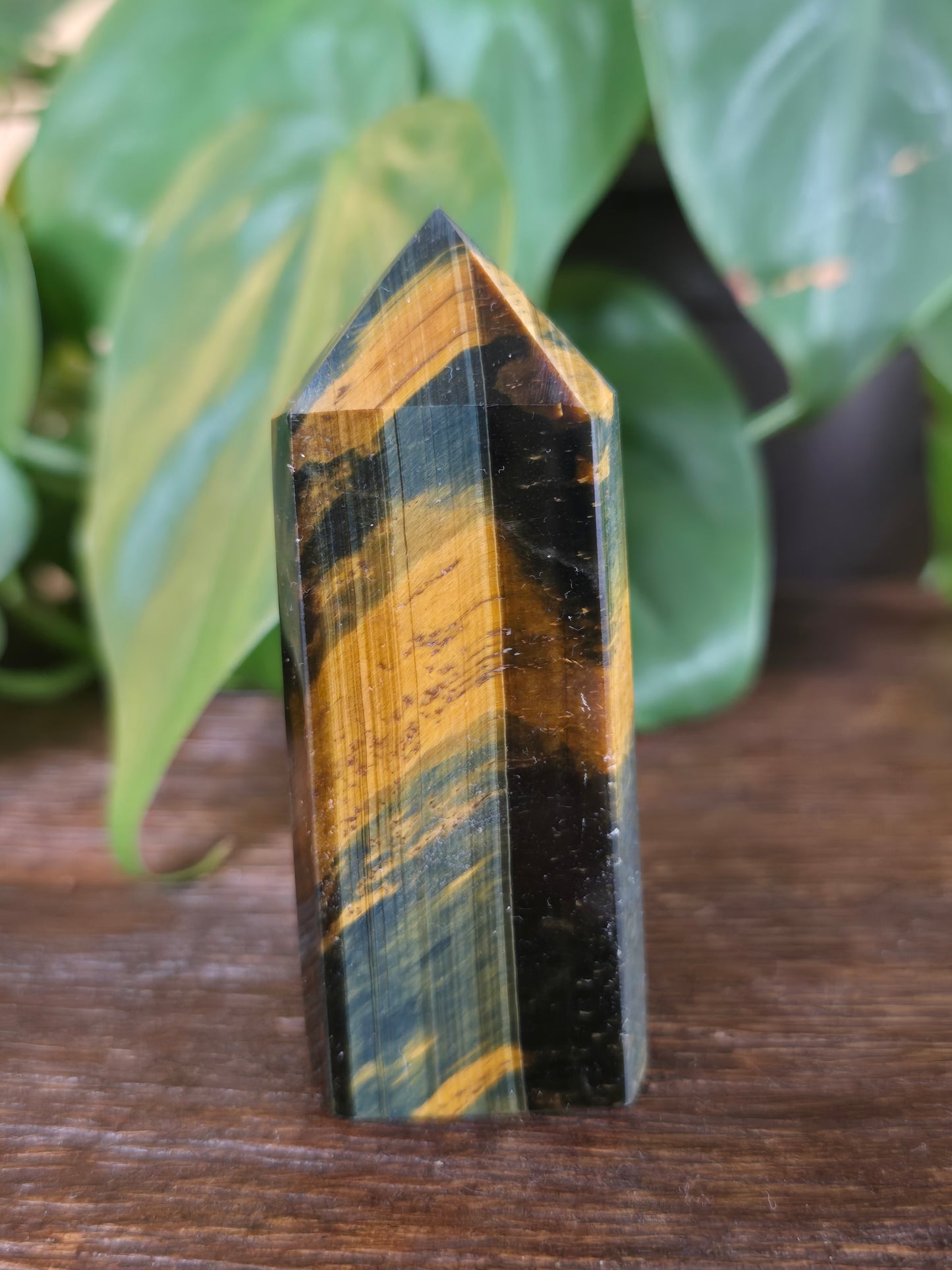 Tiger's Eye Tower "C"
