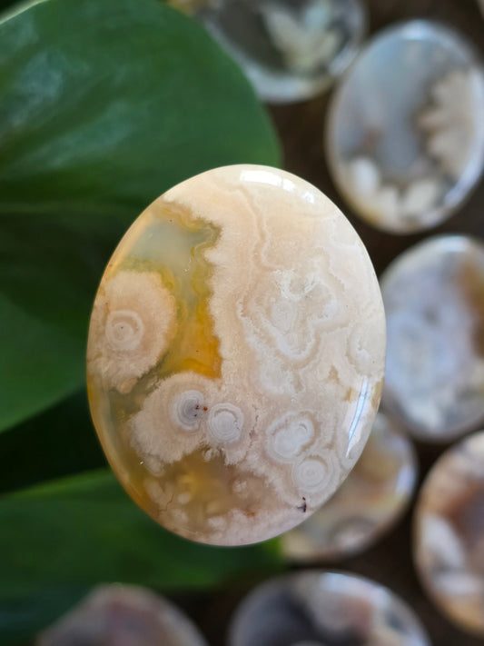 Flower Agate Worry Stone