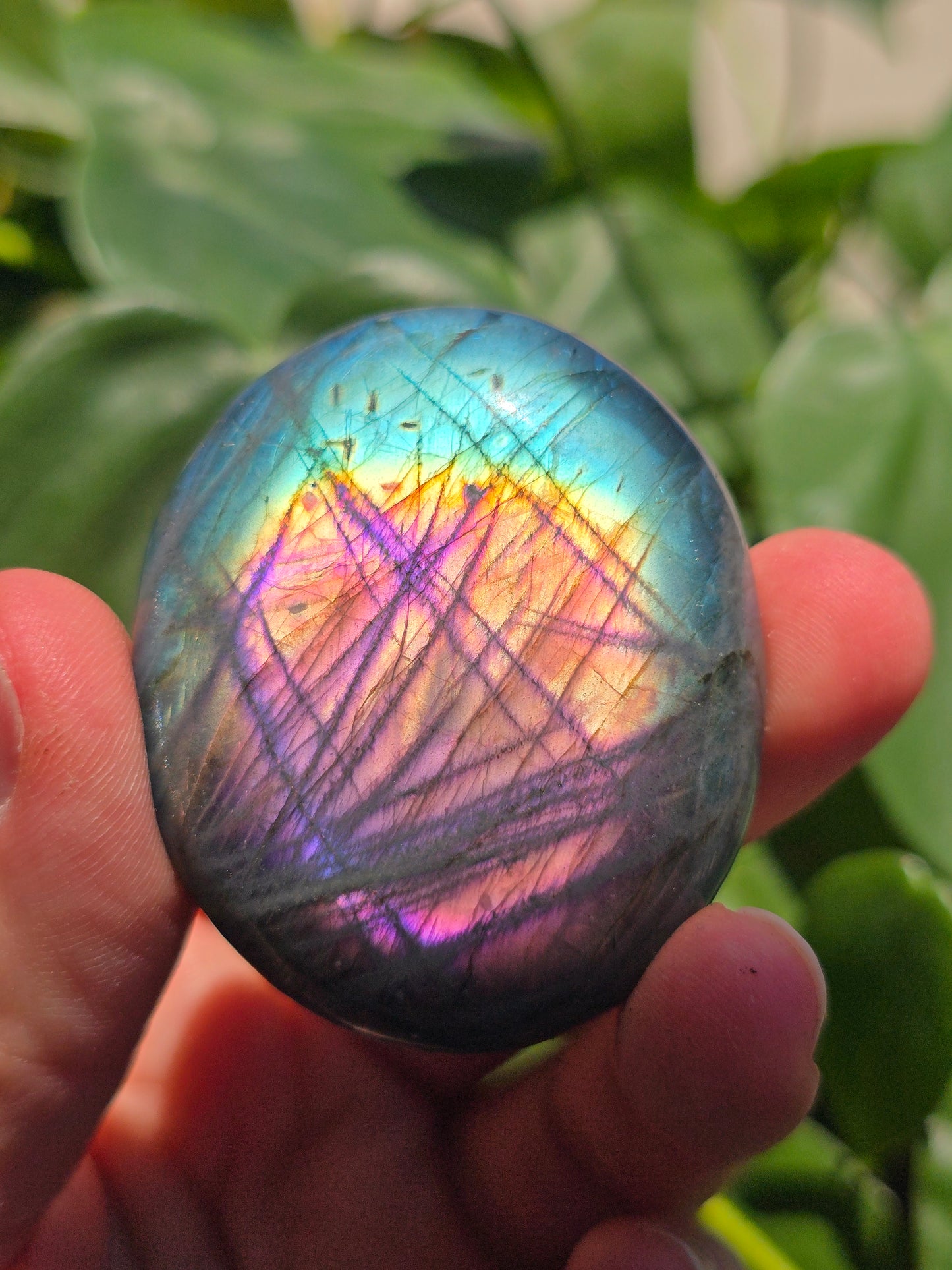 Labradorite Palm Stone "I"