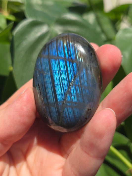 Labradorite Palm Stone "D"