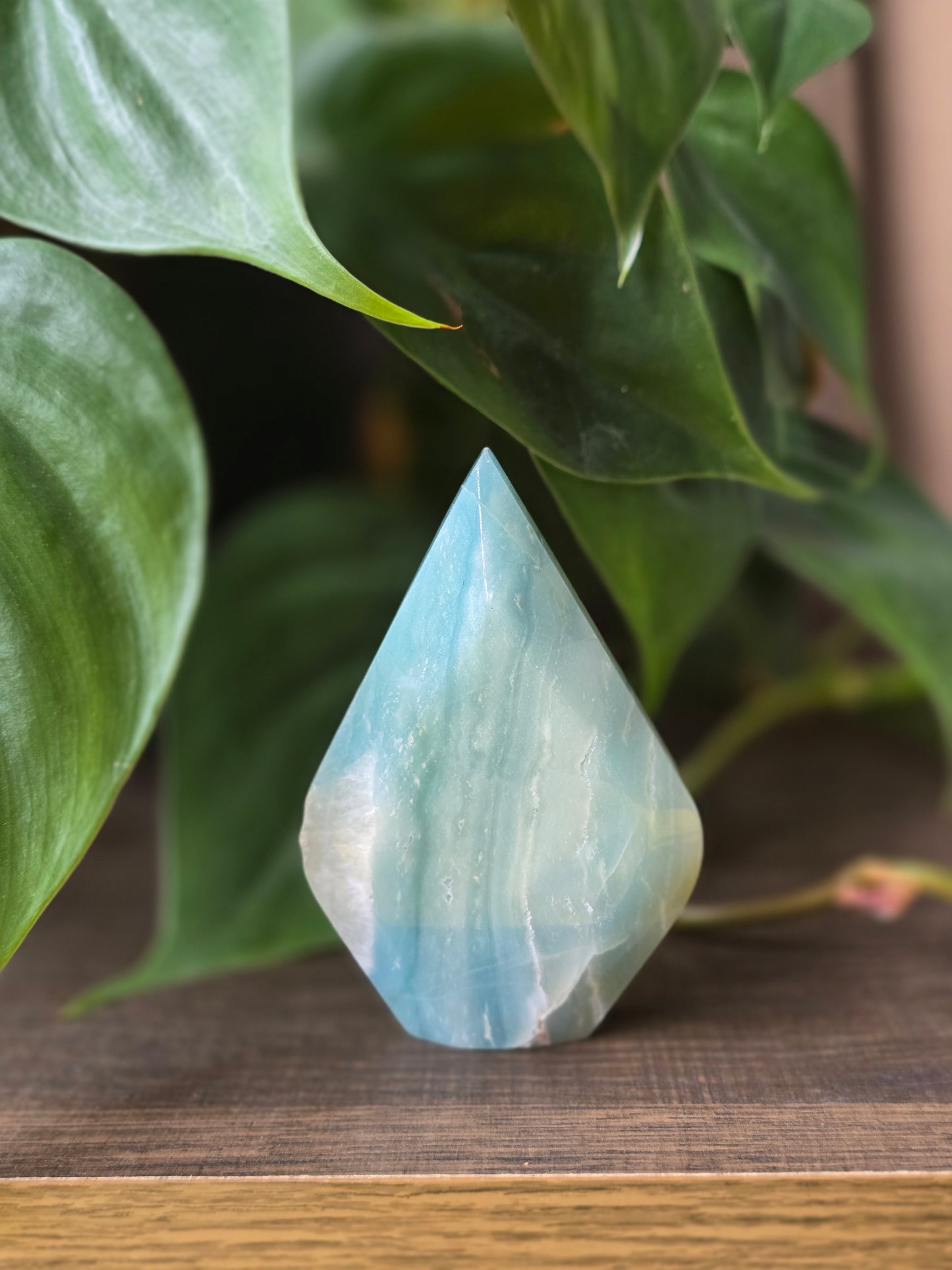 Caribbean Calcite Flipper