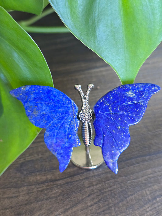 Lapis Lazuli Butterfly Wings