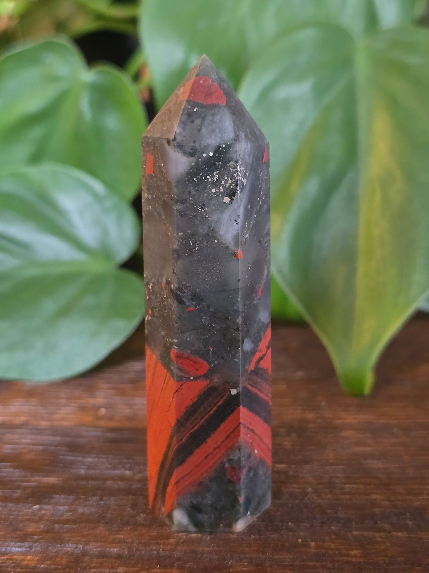 African Bloodstone Point "L"