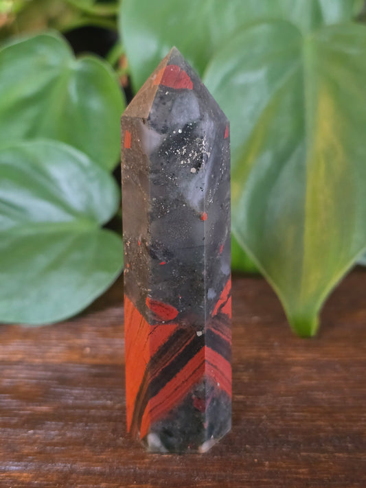 African Bloodstone Point "L"