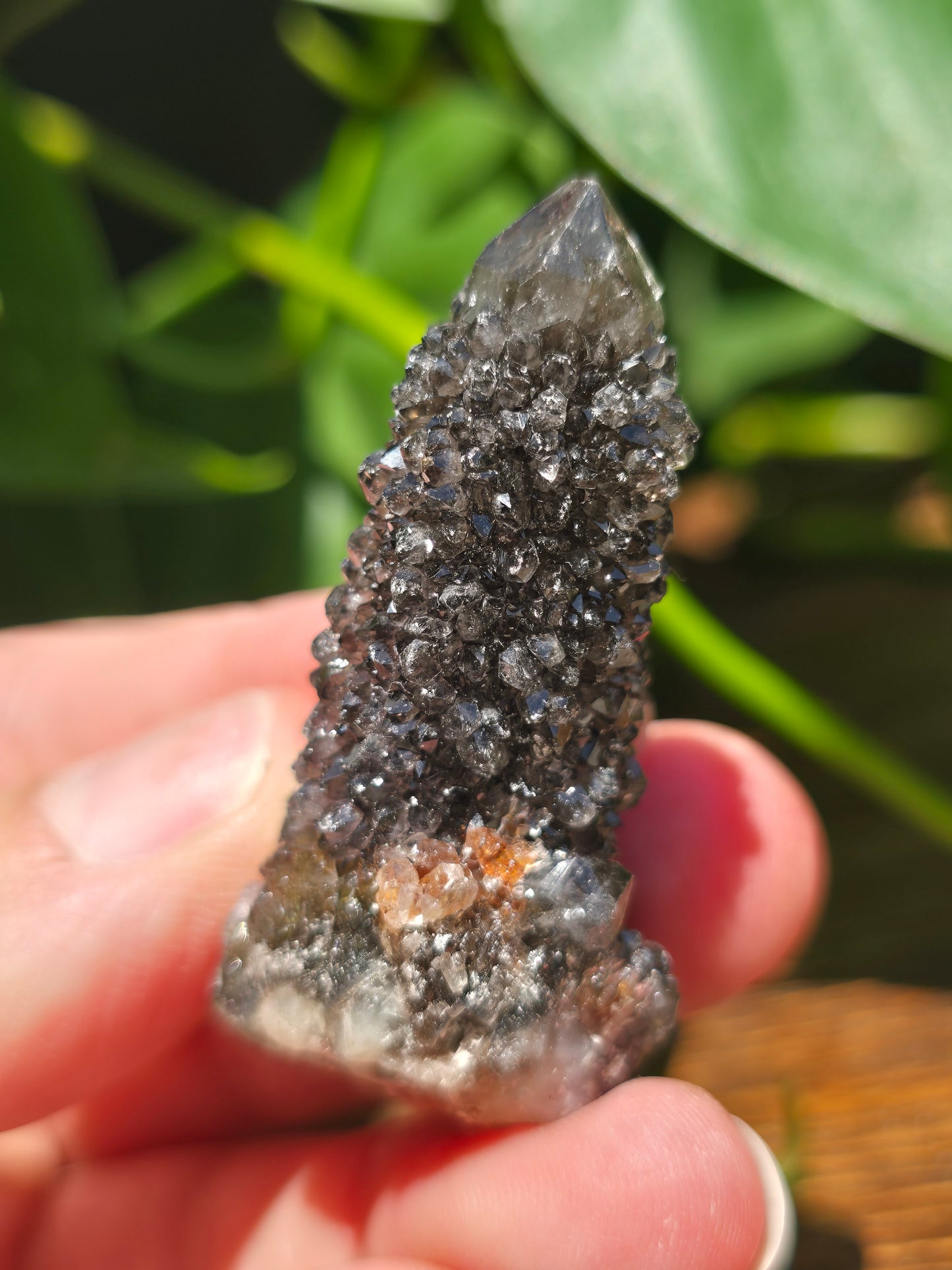 Smoky Black Spirit Quartz Specimen "B"