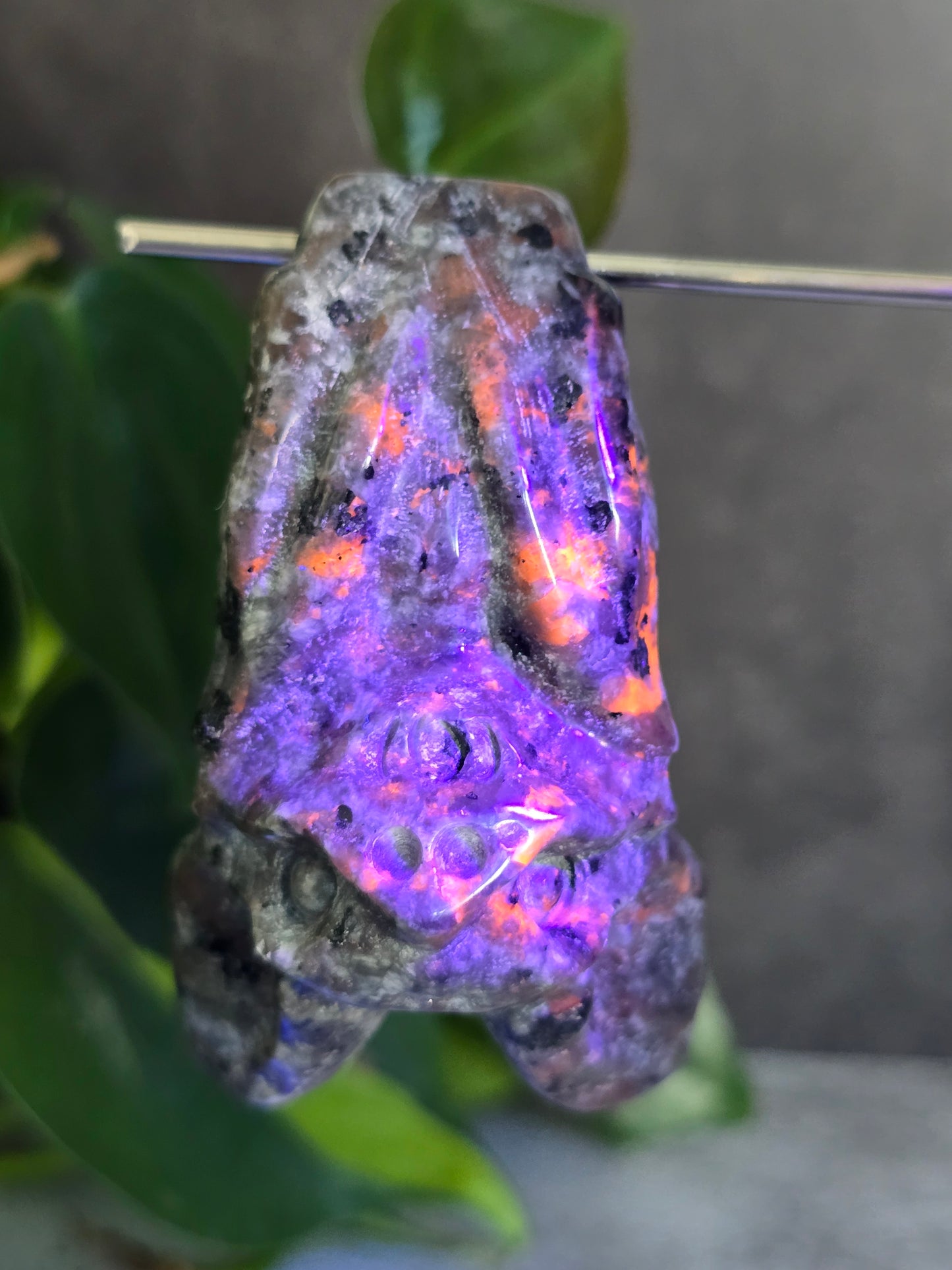 UV Reactive Sodalite Bat