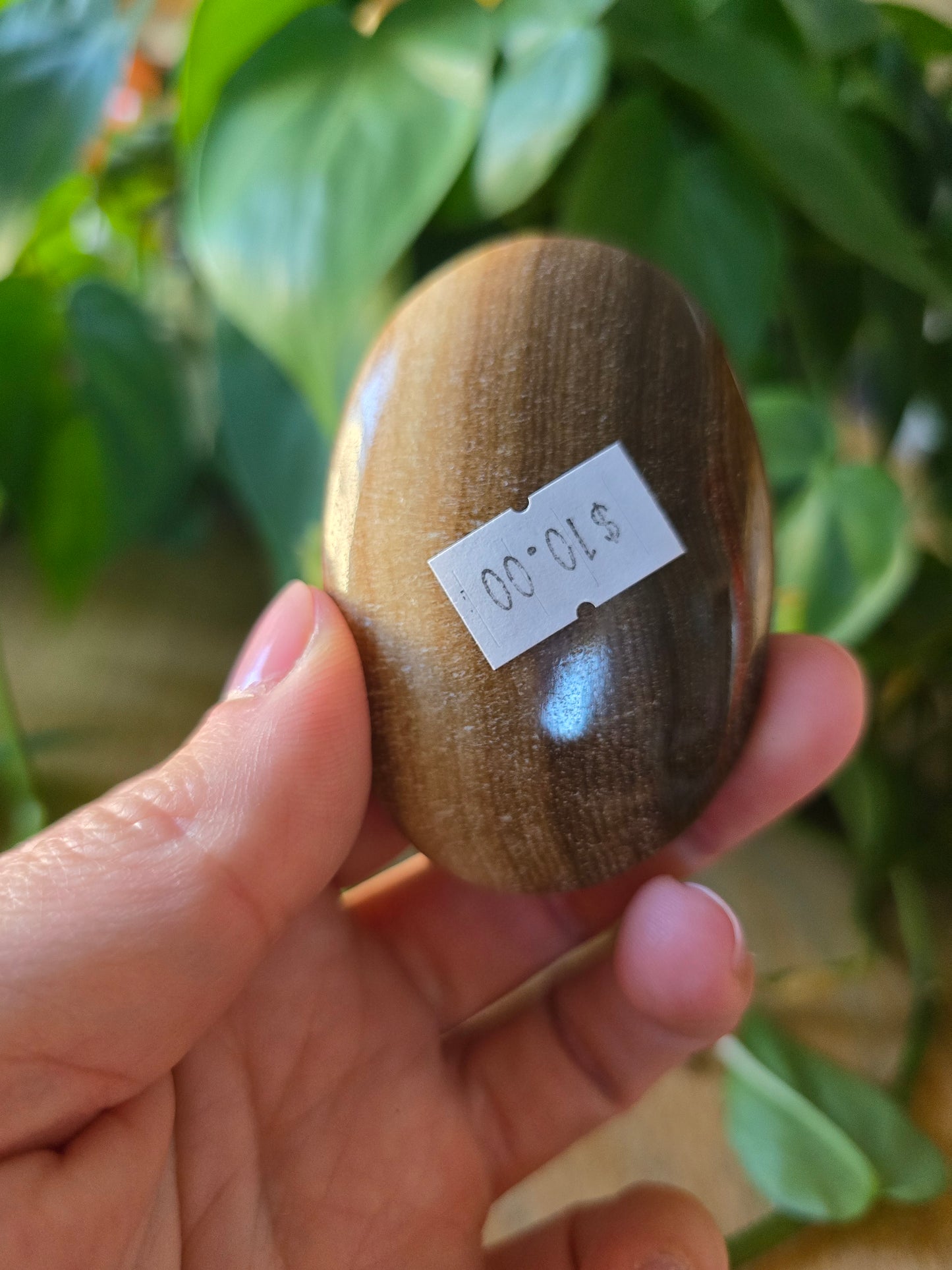 Chocolate Calcite Palm Stone