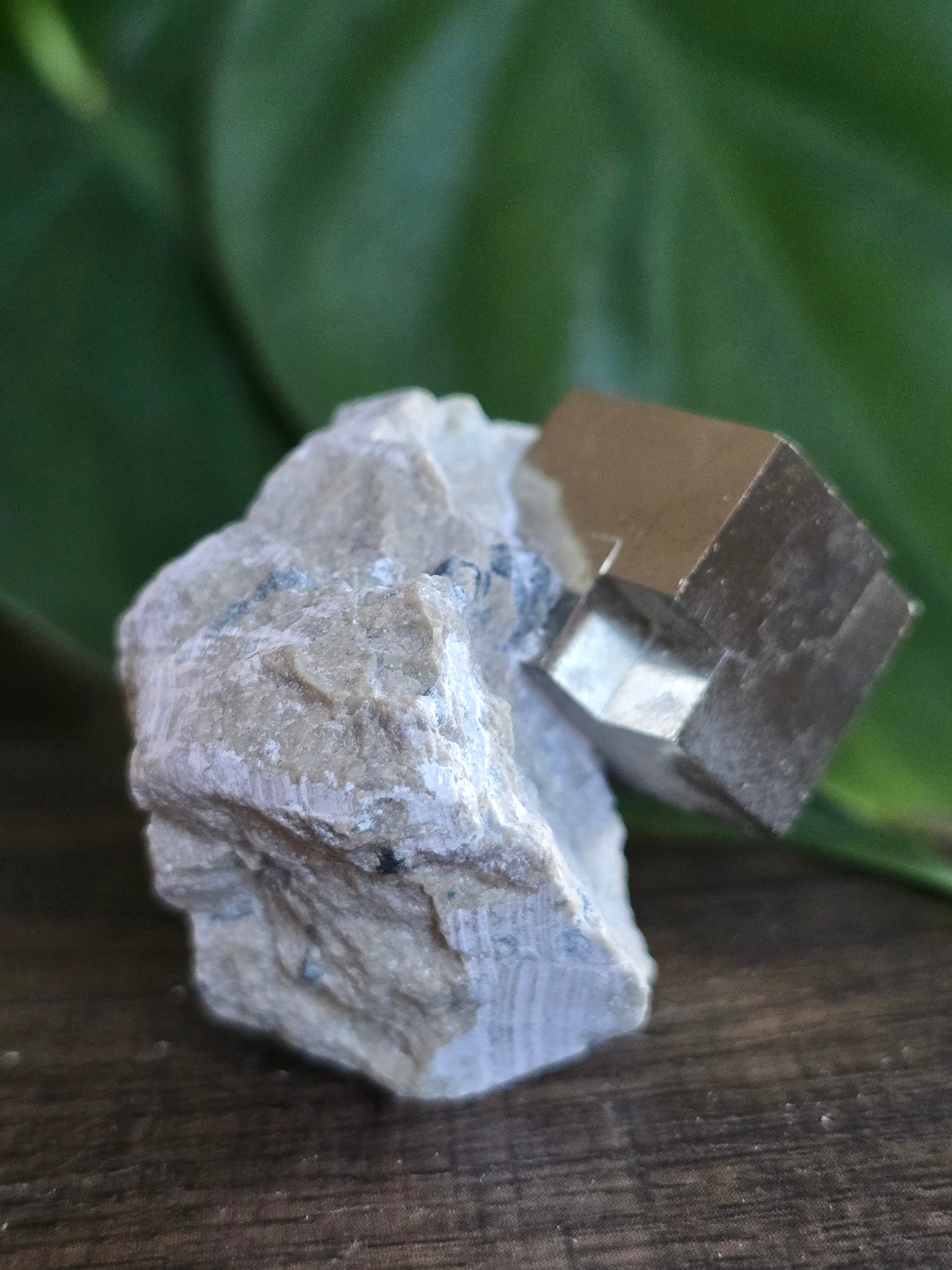 Pyrite Cube on Host Stone