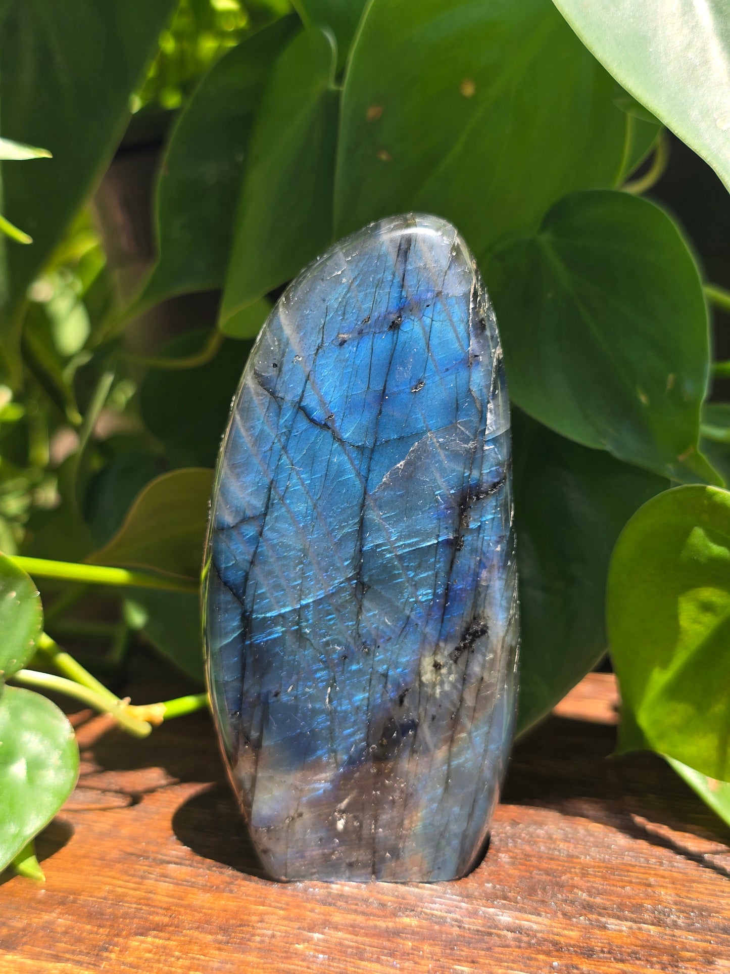 Labradorite Crystal Free Form Carving "D"