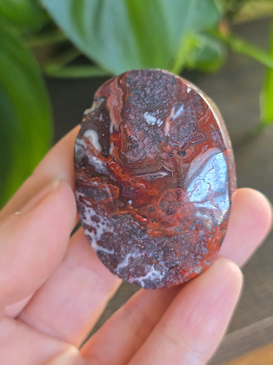 Red Mexican Crazy Lace Agate Palm Stone