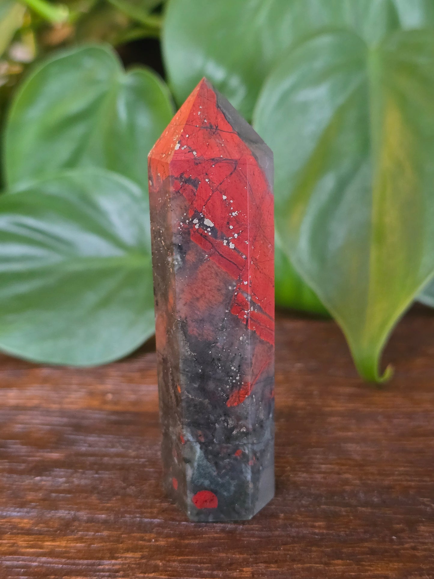 African Bloodstone Point "D"