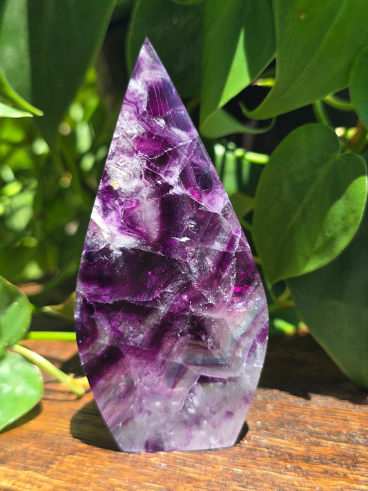 Rainbow Fluorite Flipper "F"