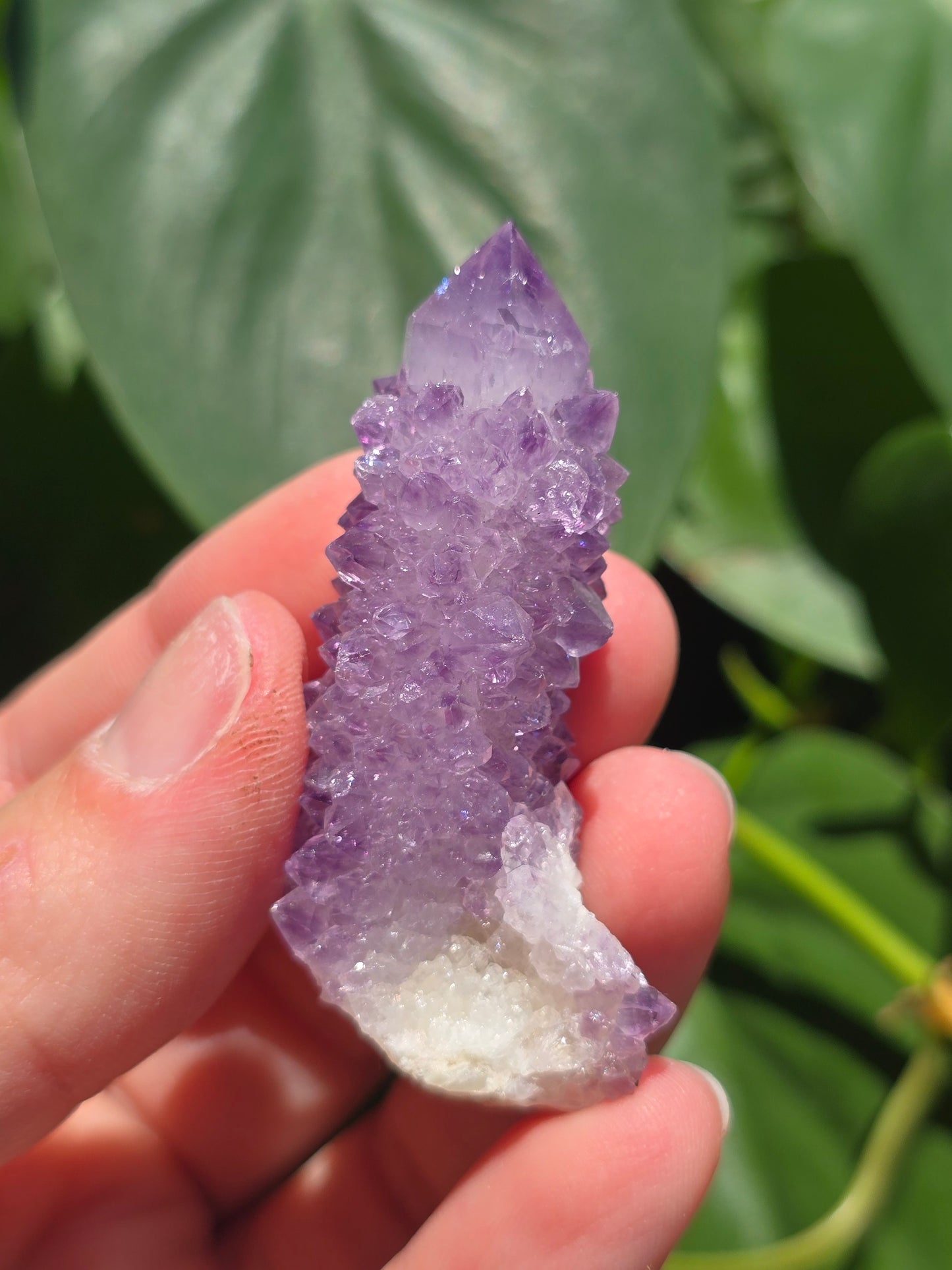 Amethyst Spirit Cactus Quartz Crystal Specimen "C"
