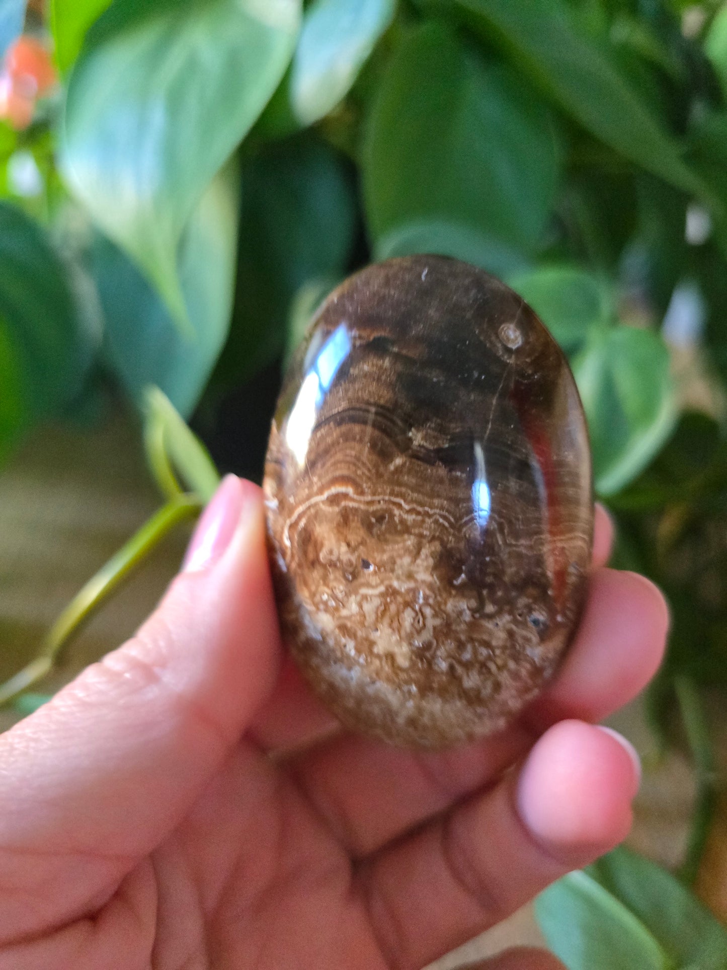 Chocolate Calcite Palm Stone