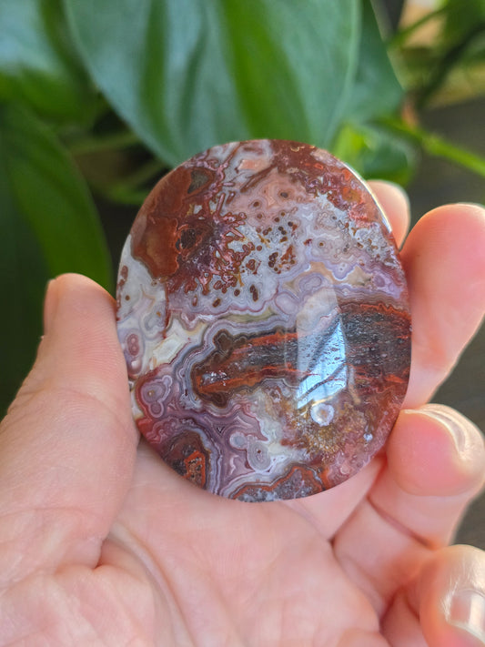 Red Mexican Crazy Lace Agate Palm Stone