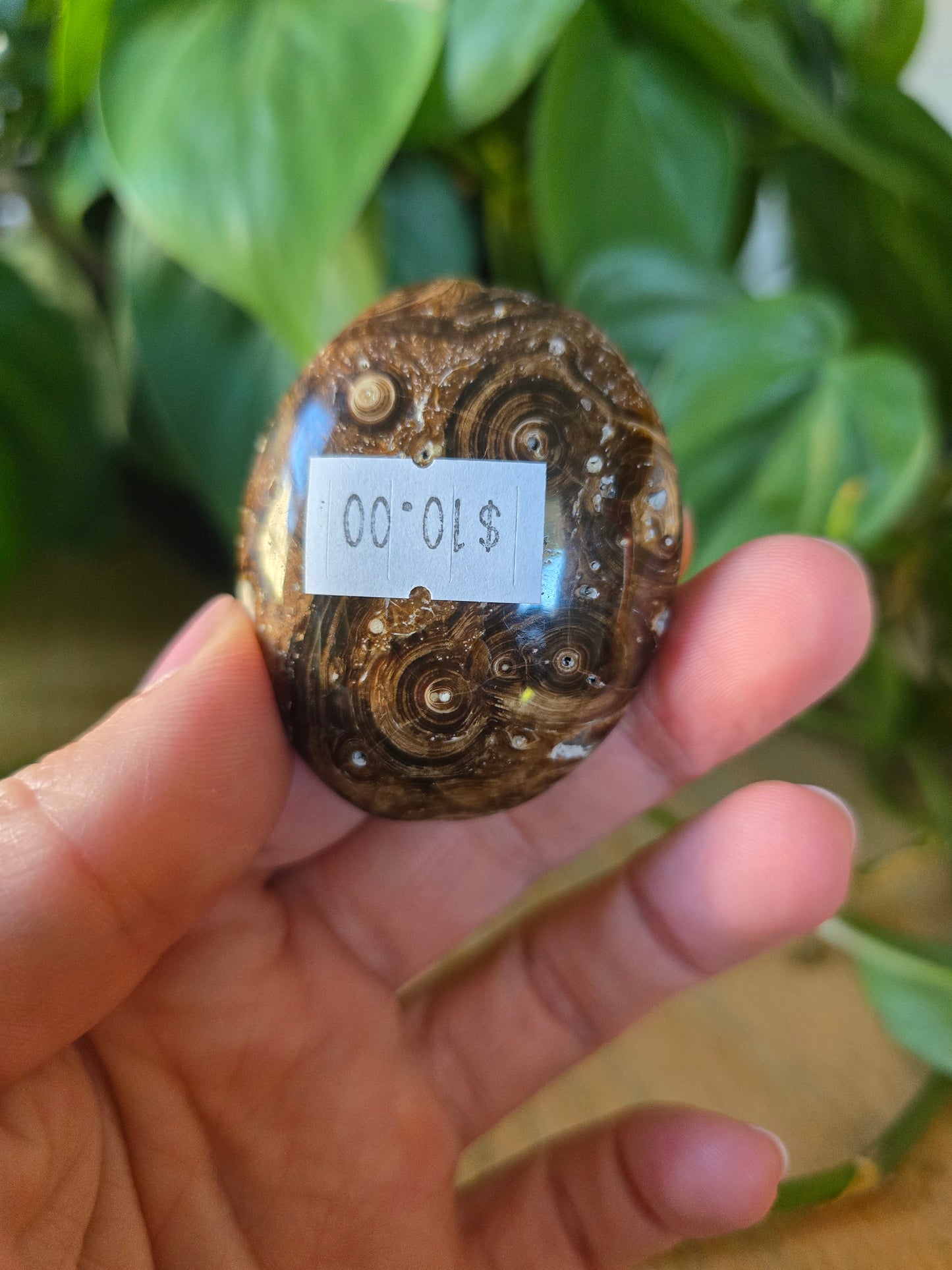 Chocolate Calcite Palm Stone